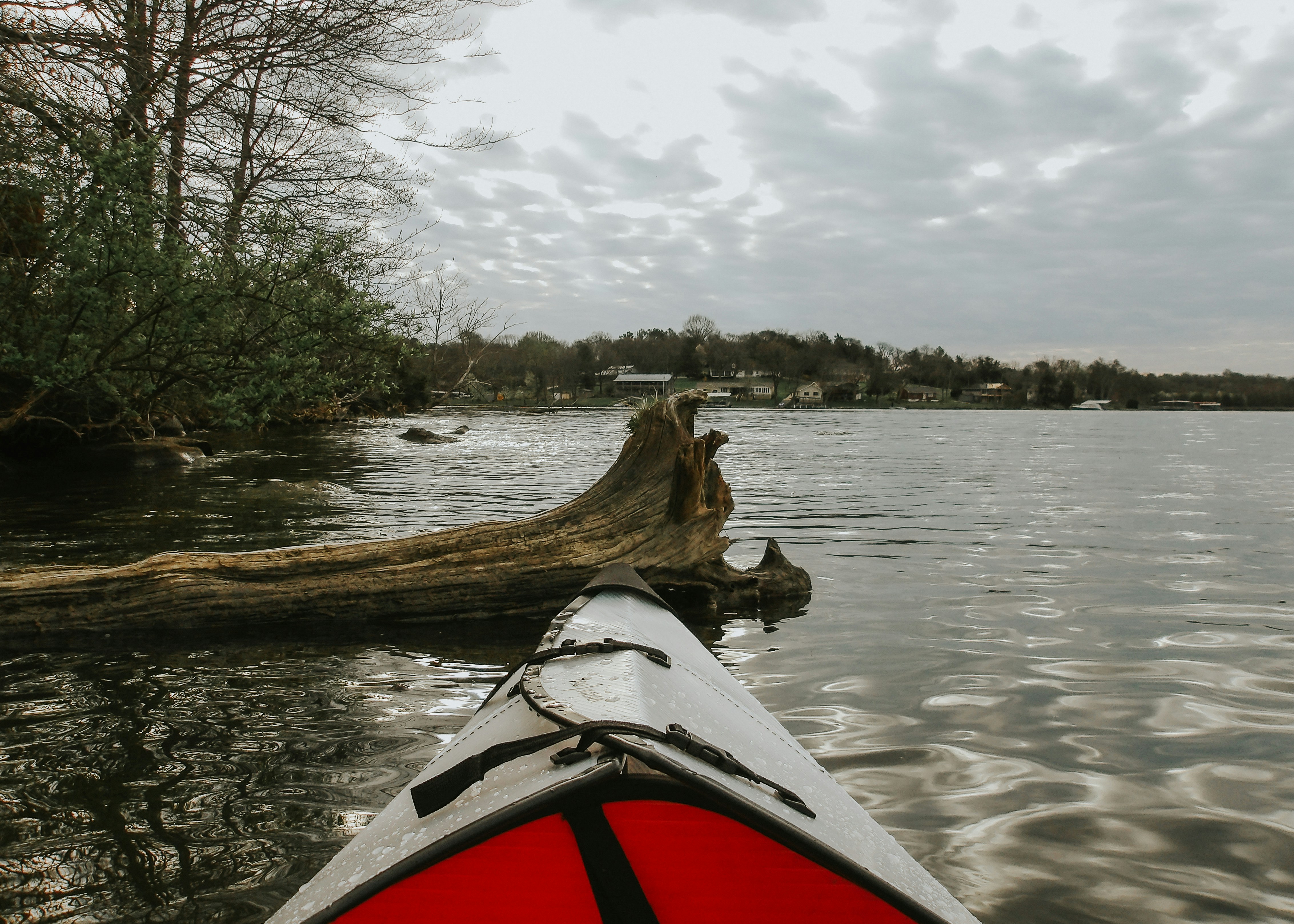 Polska reprezentacja w sprincie kajakowym walczy o medale