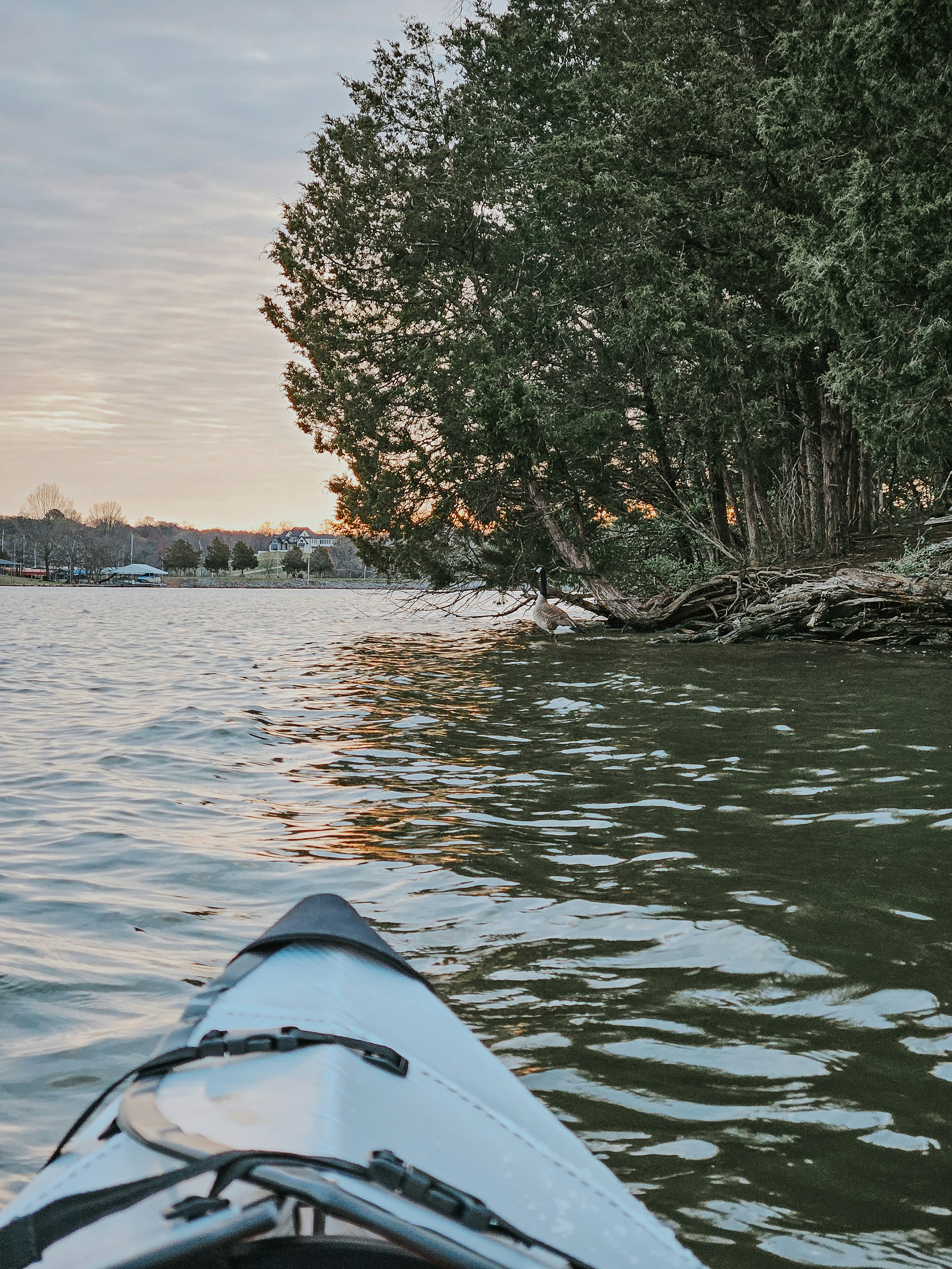a view of a body of water from a kayak