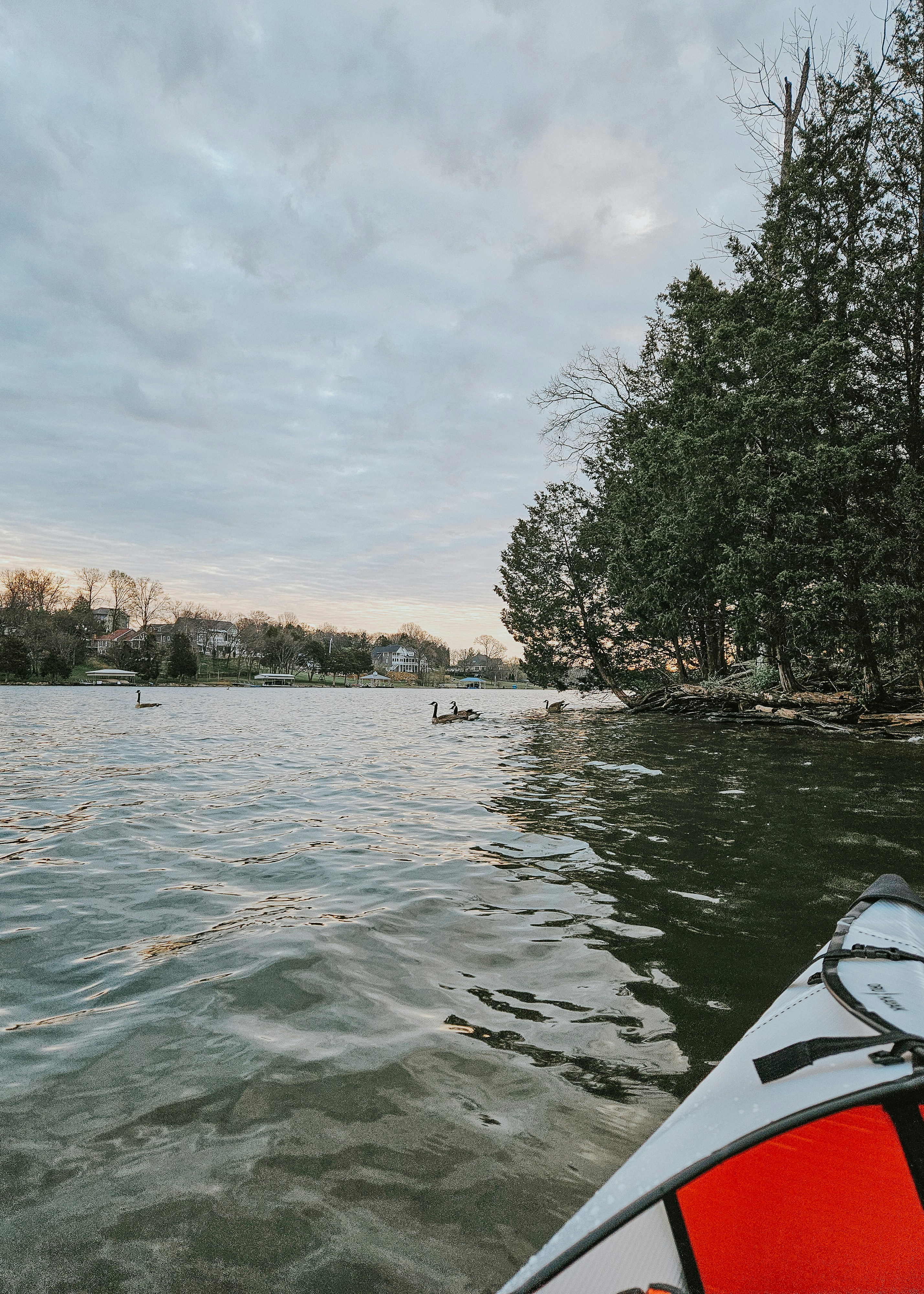 a view of a body of water from a kayak