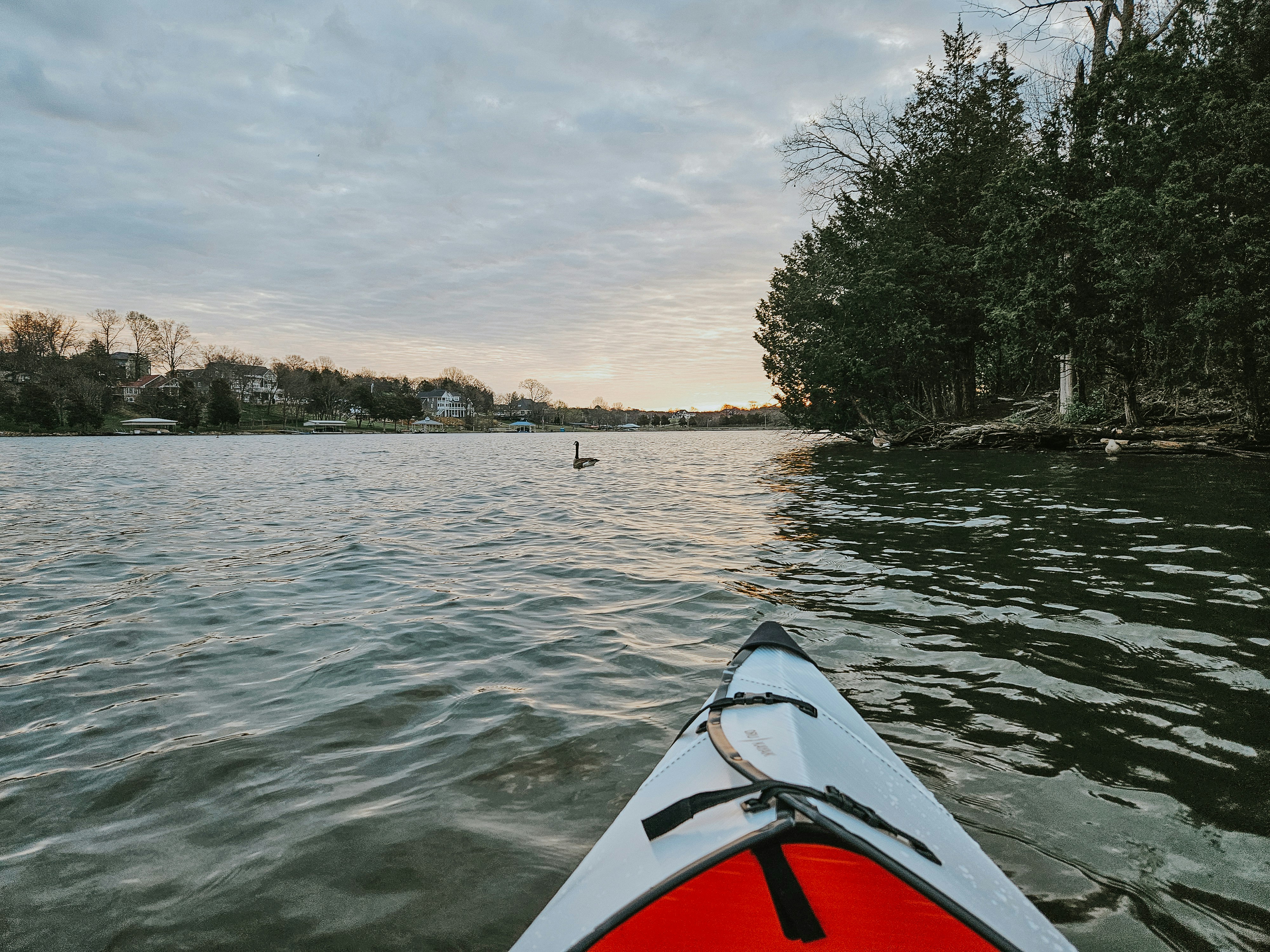 a view of a lake from a kayak