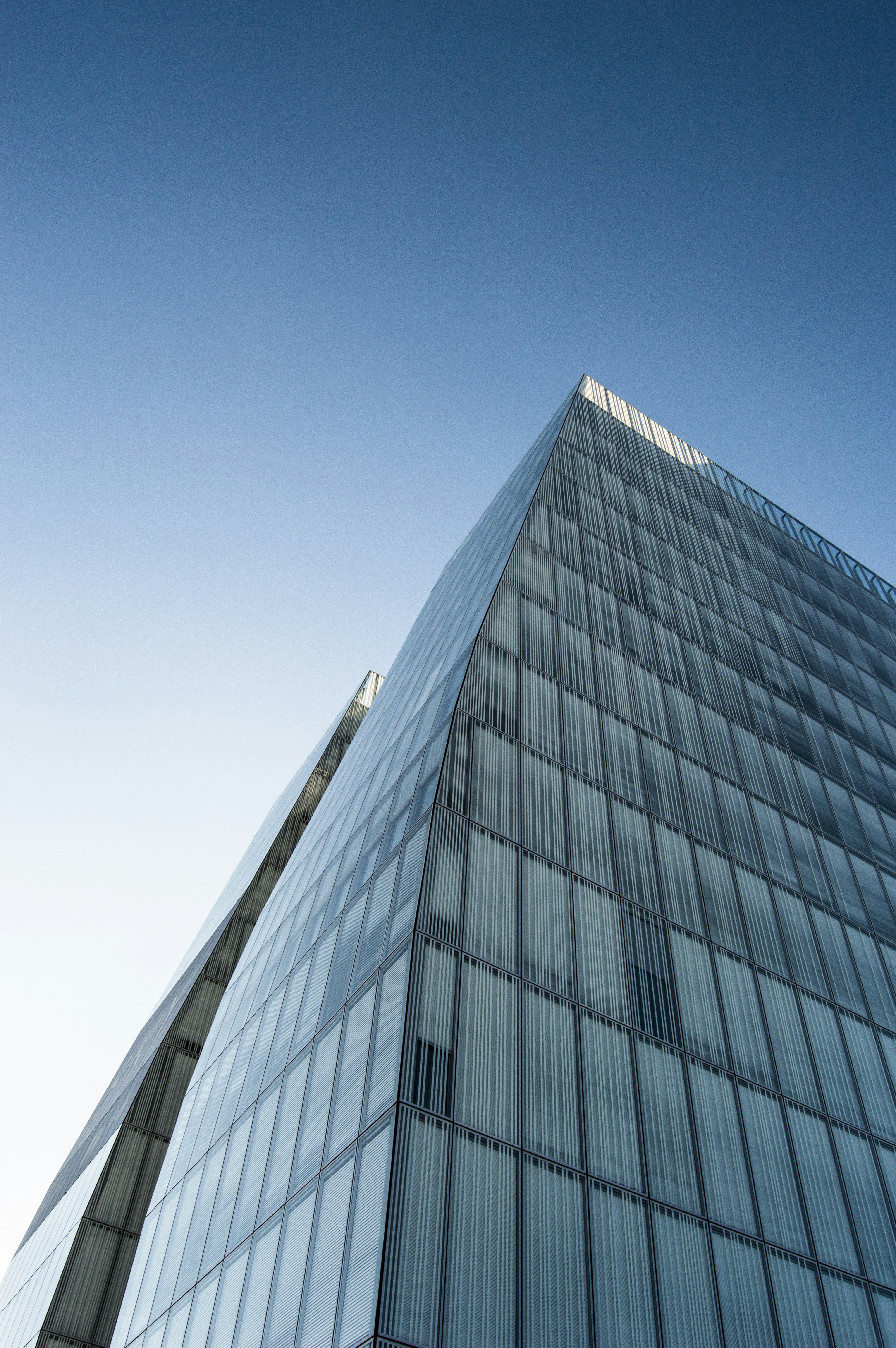 Photo by lucasgallone