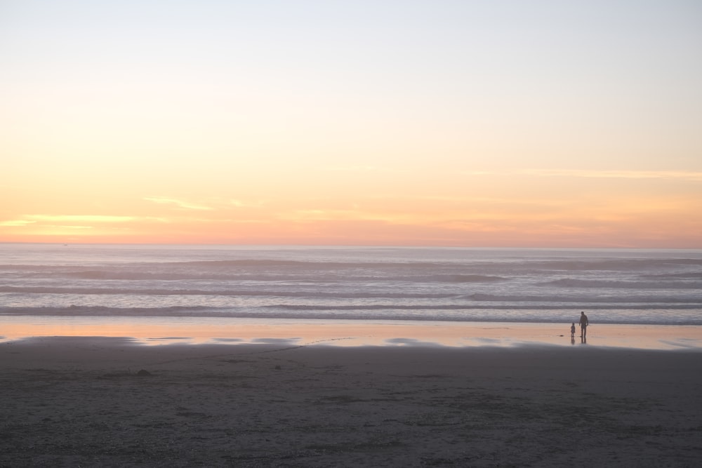 a person standing on a beach next to the ocean