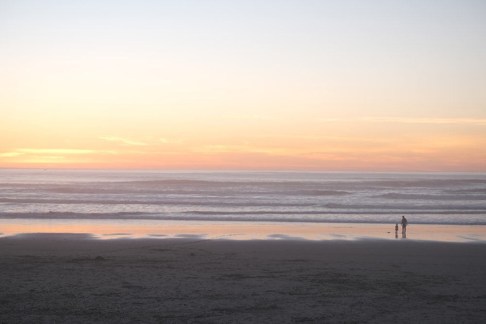 una persona parada en una playa junto al océano