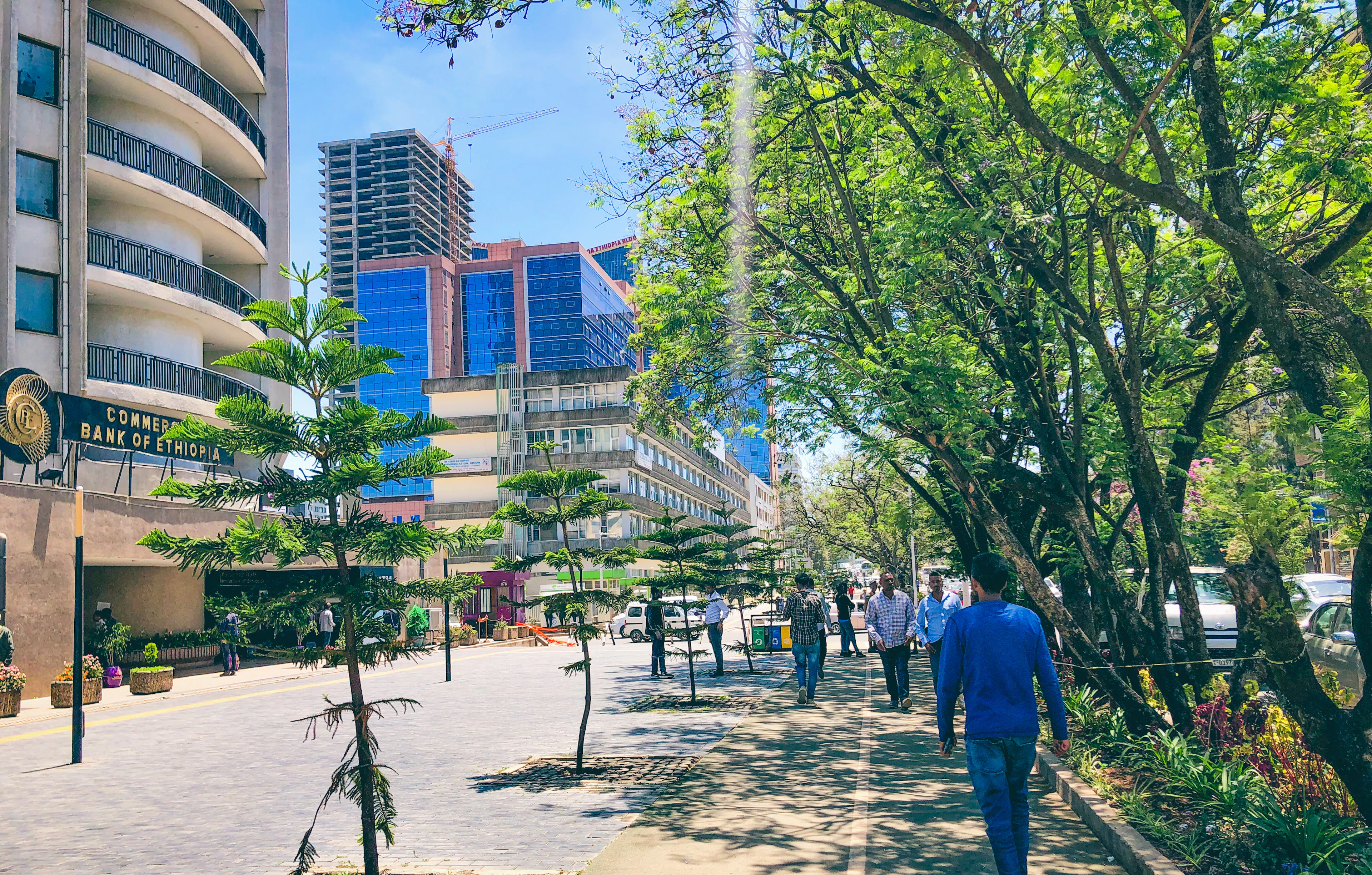 Street and apartment buildings in Addis Ababa