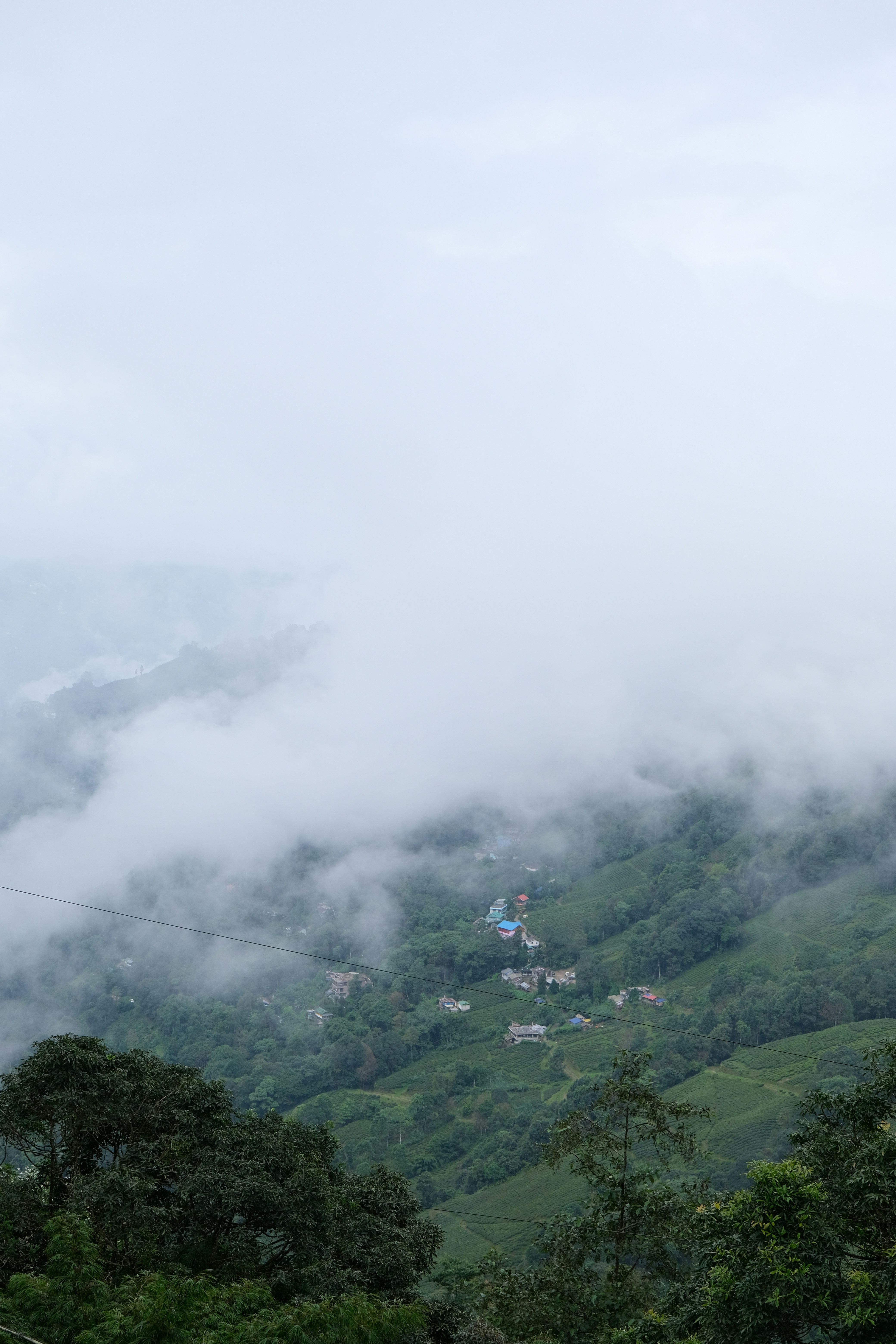 Photo by ingeborgkorme