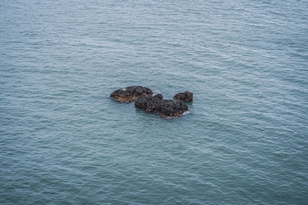 un cuerpo de agua con rocas en el medio
