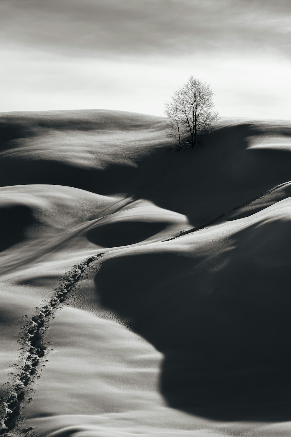 a black and white photo of a lone tree on a snowy hill