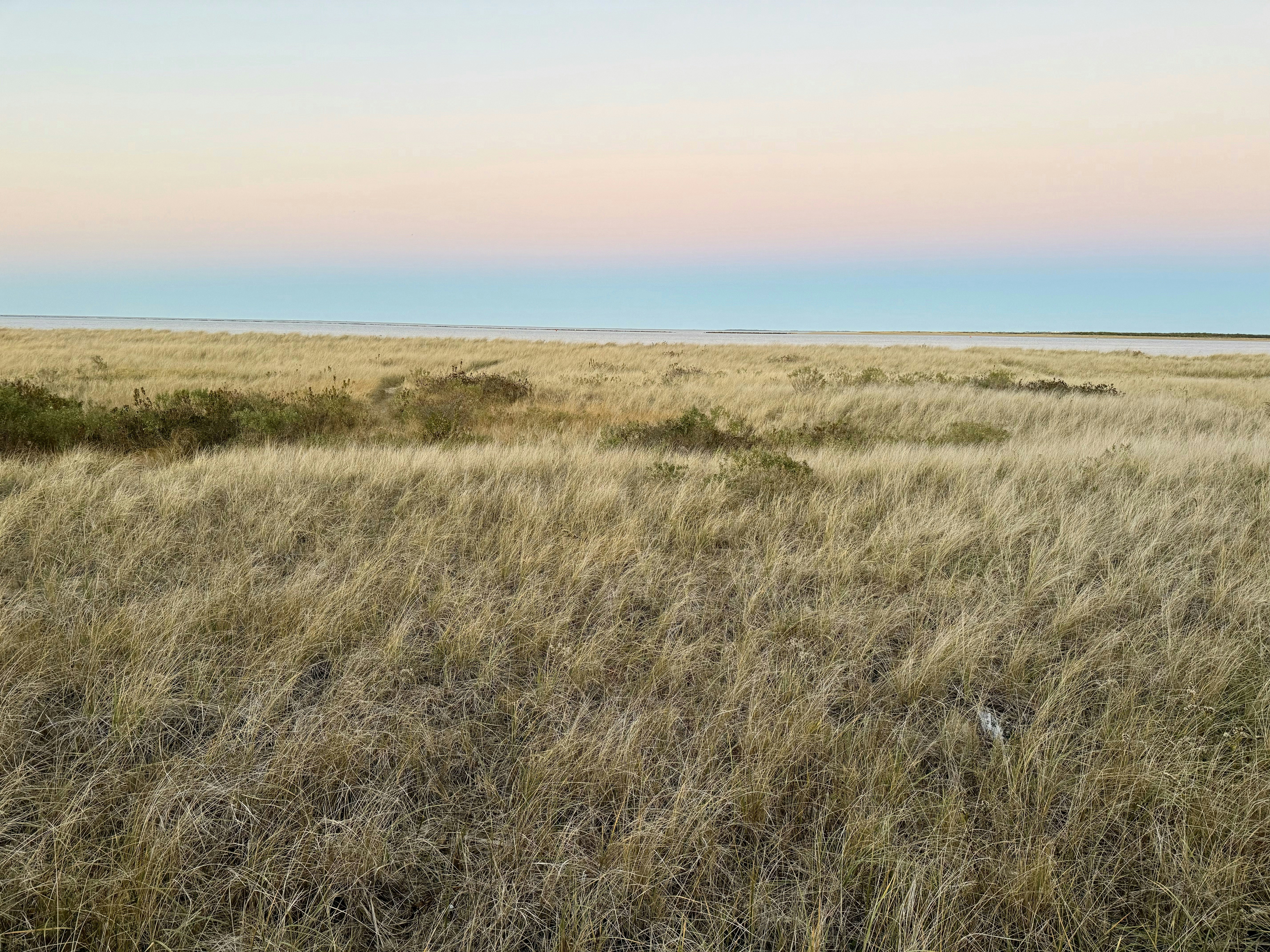 Photo by carsoncooman