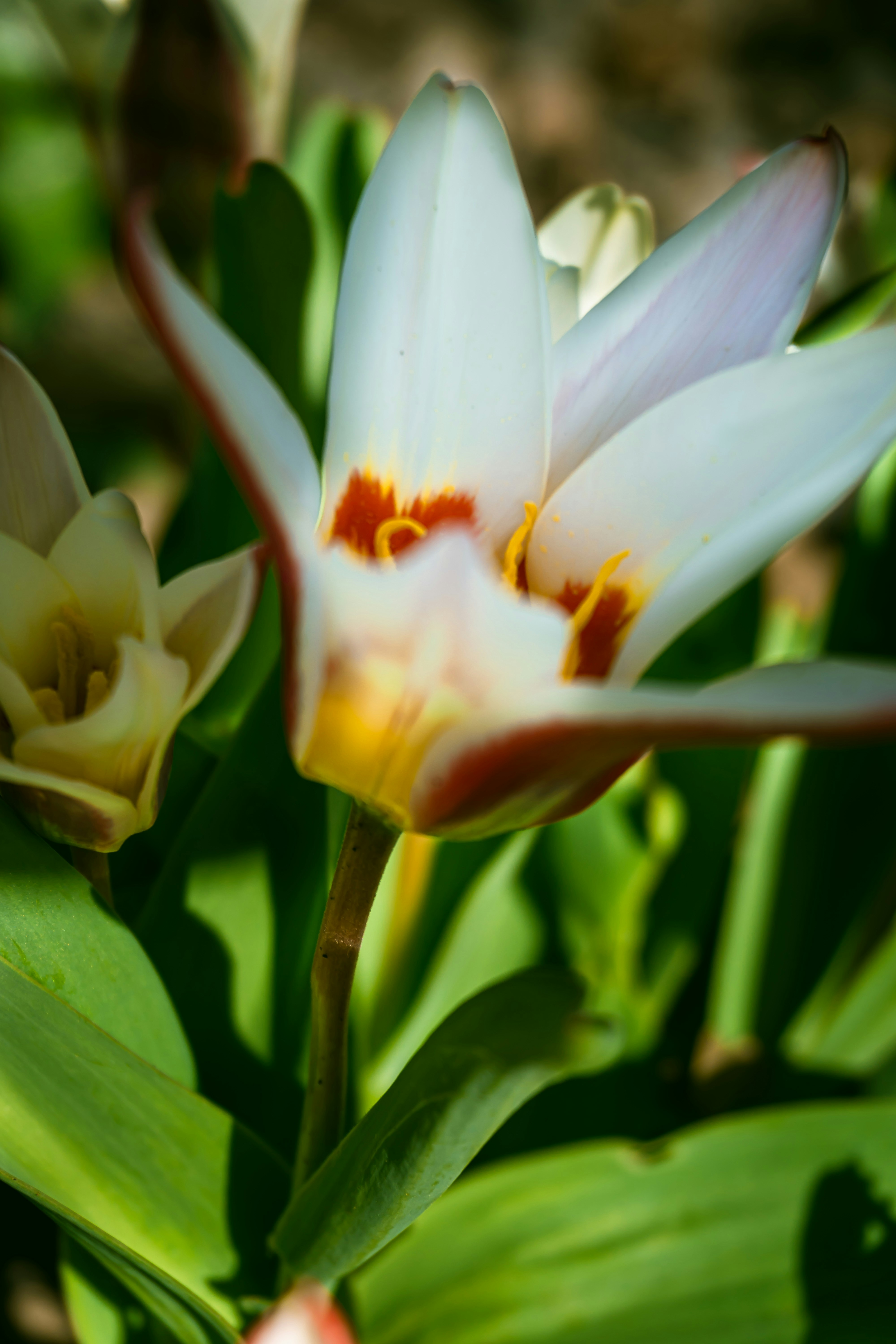 Photo by nicola_welner