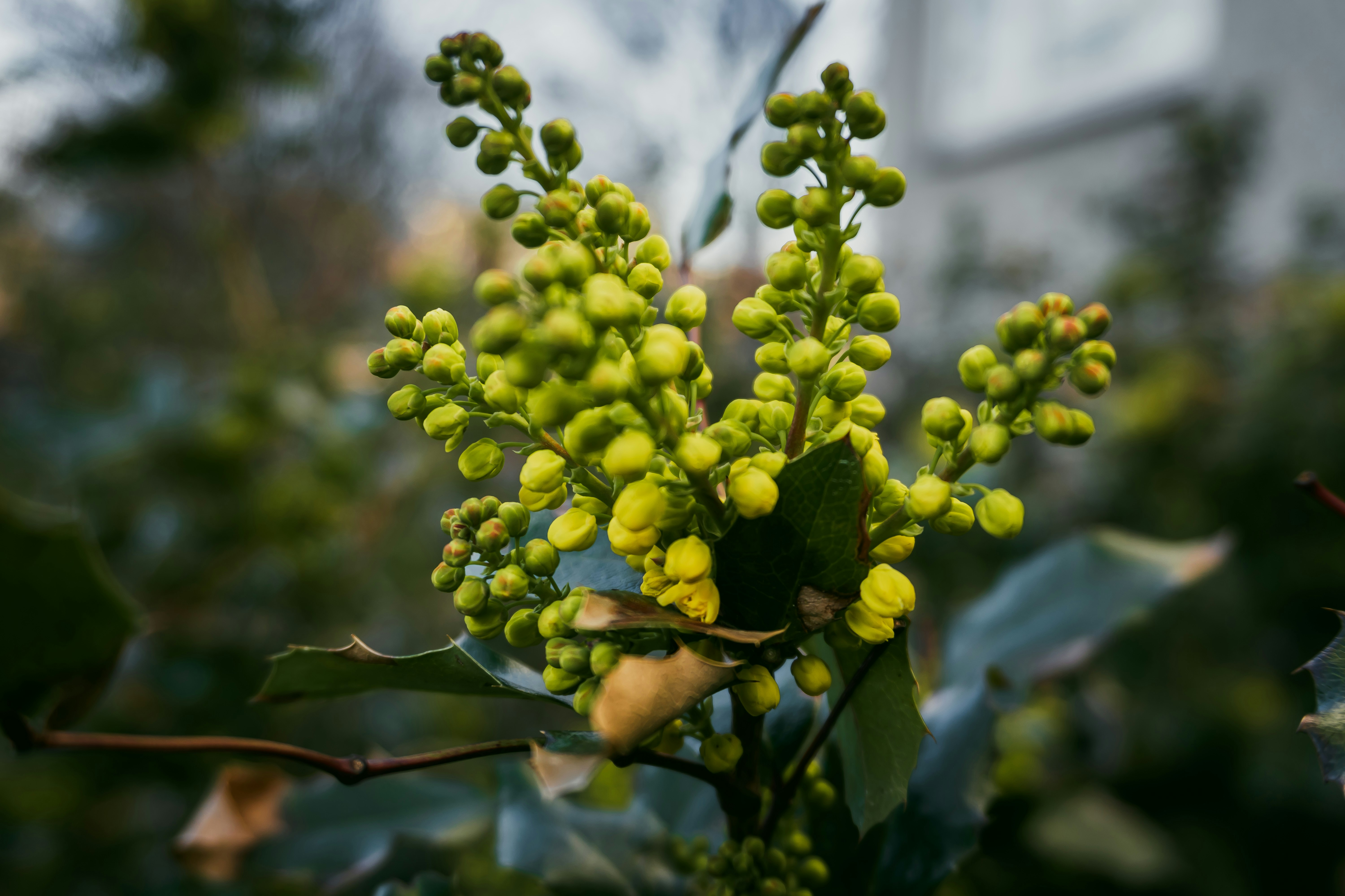 Photo by nicola_welner