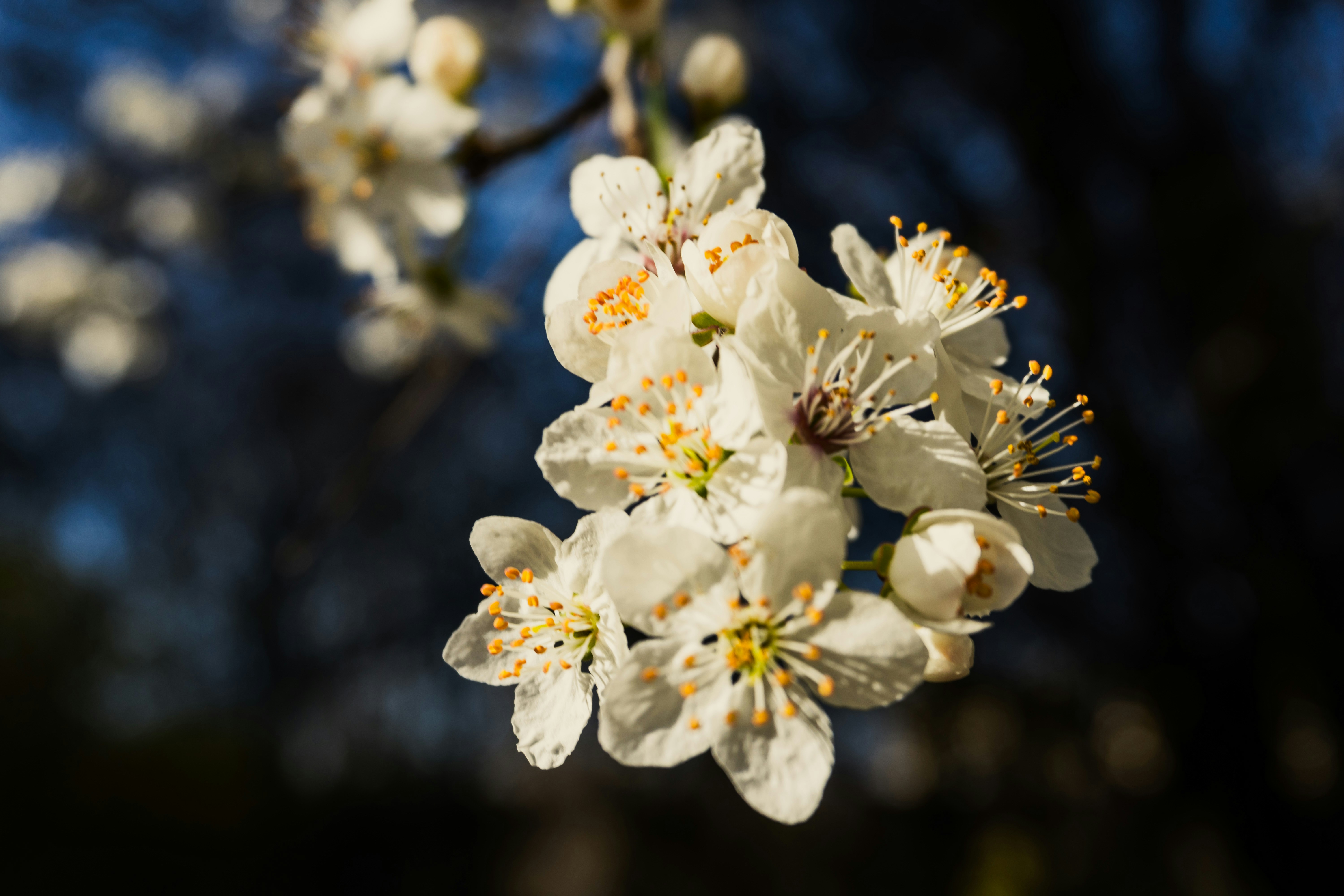 Photo by nicola_welner