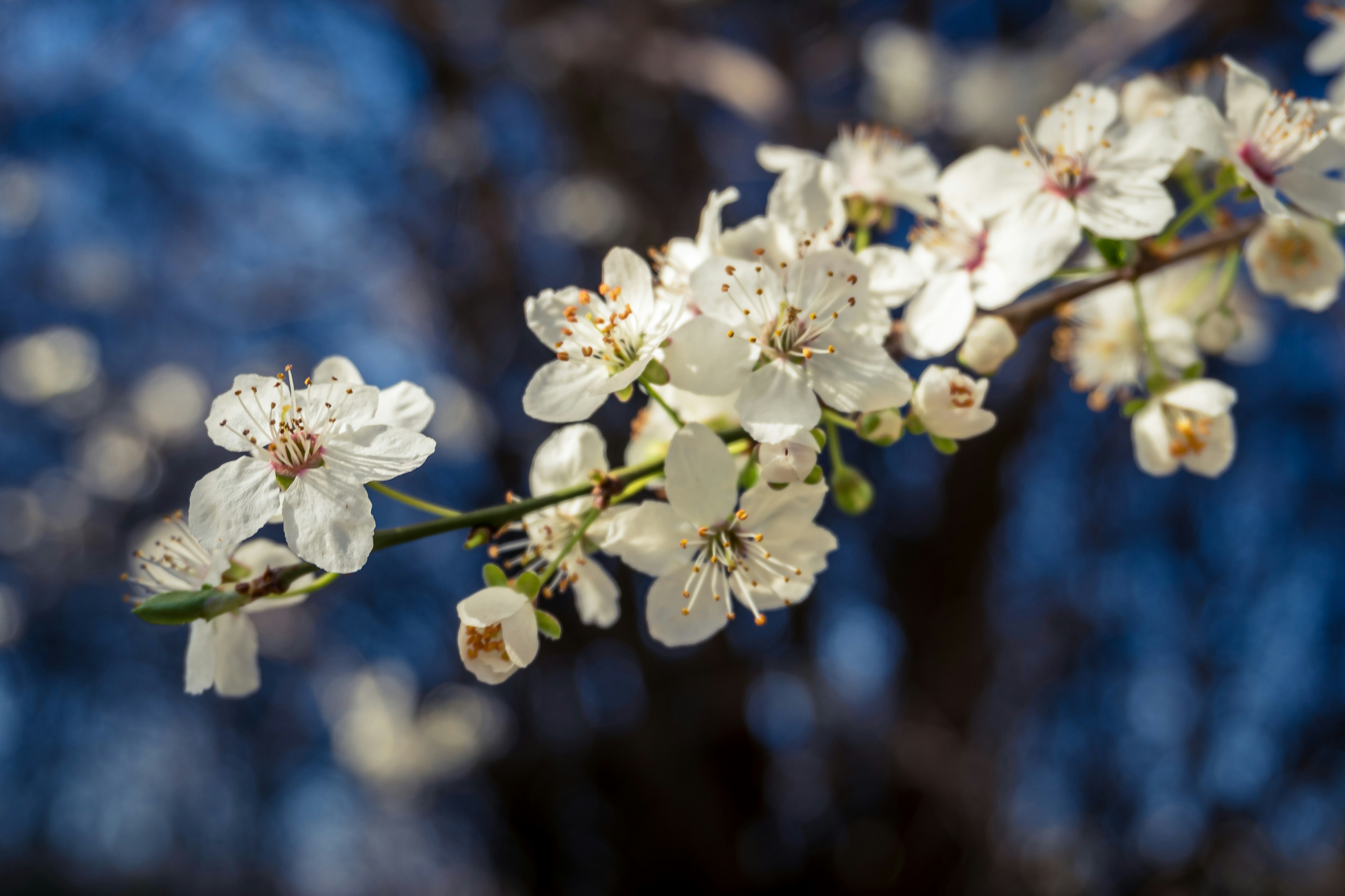 Photo by nicola_welner