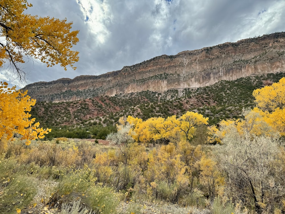 a scenic view of a mountain with yellow trees in the foreground