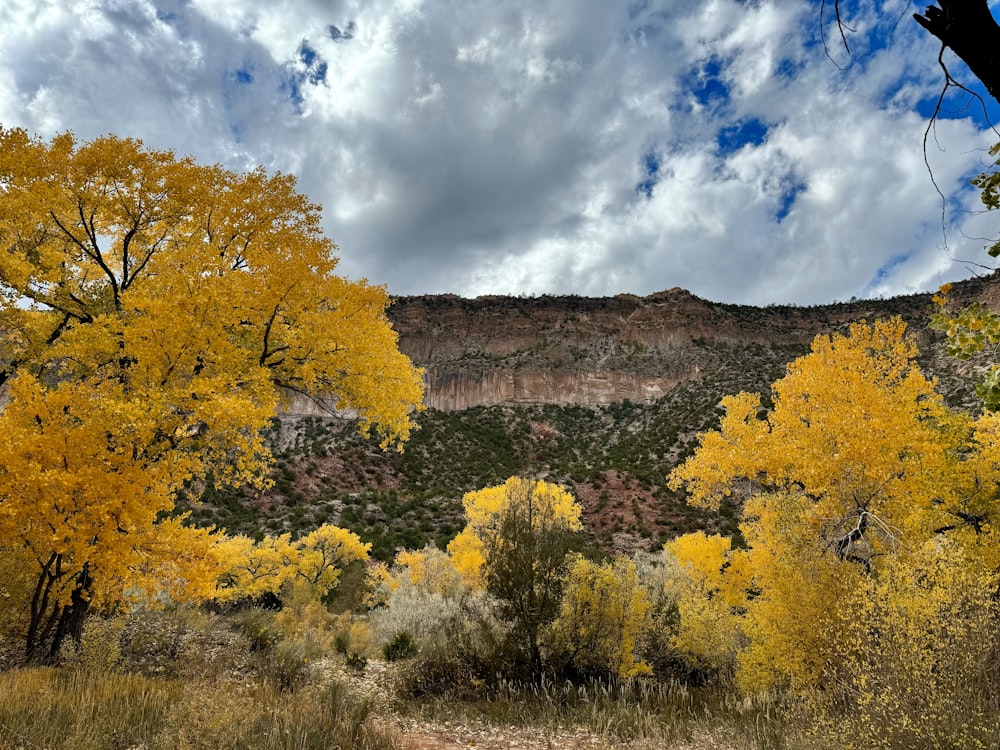 a scenic view of a mountain with yellow trees