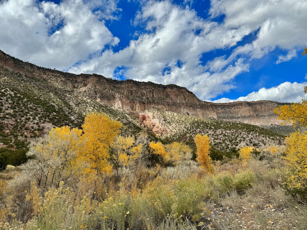 a scenic view of a mountain with yellow trees