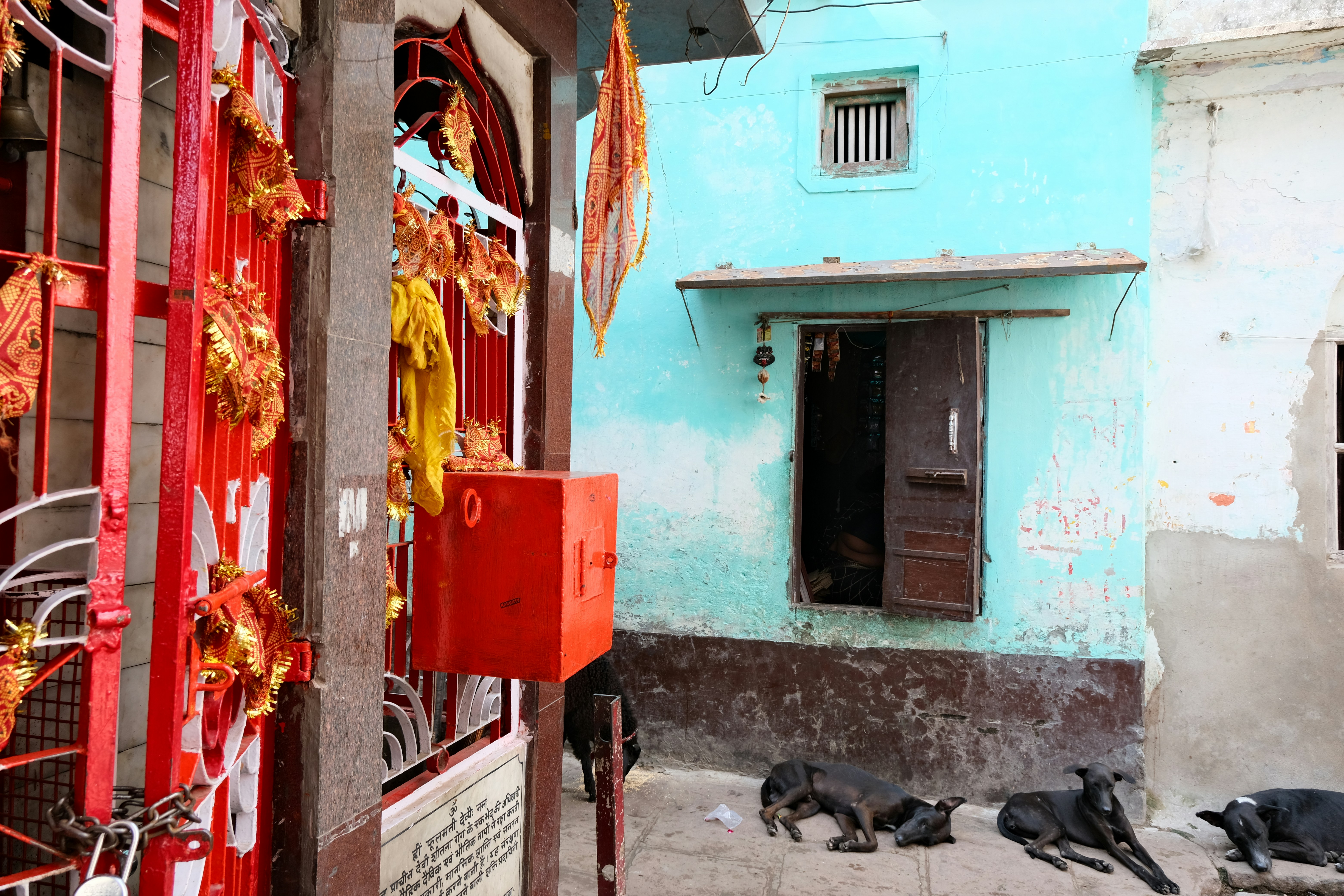 Photo by ingeborgkorme