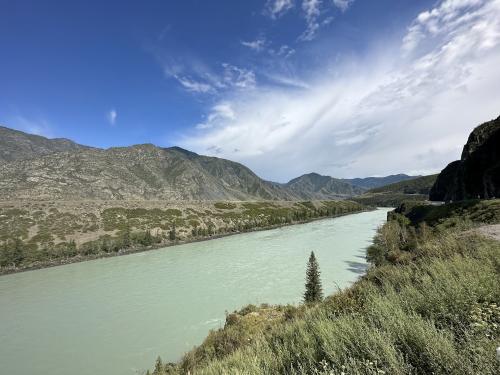 a river running through a lush green valley