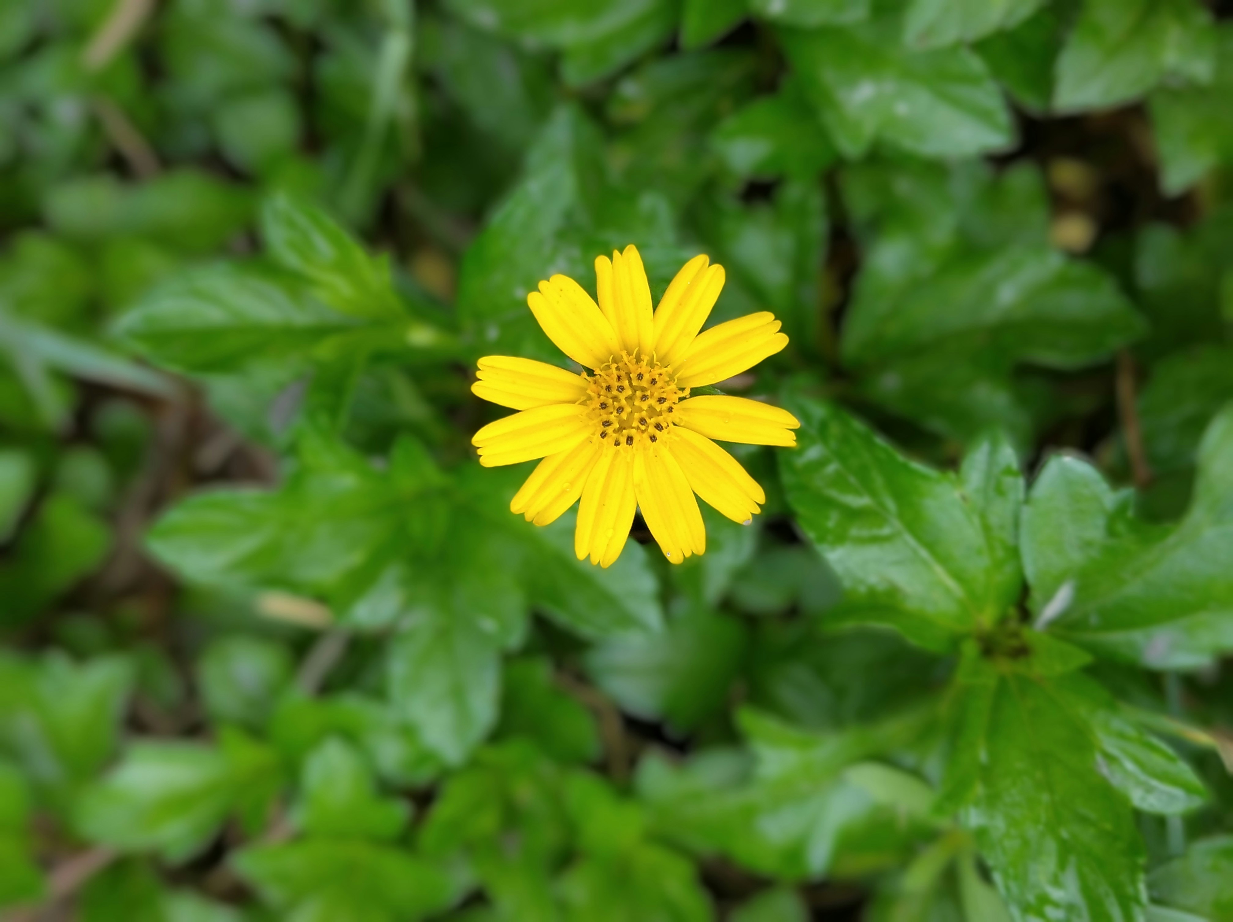 Photo by naimtalukder88