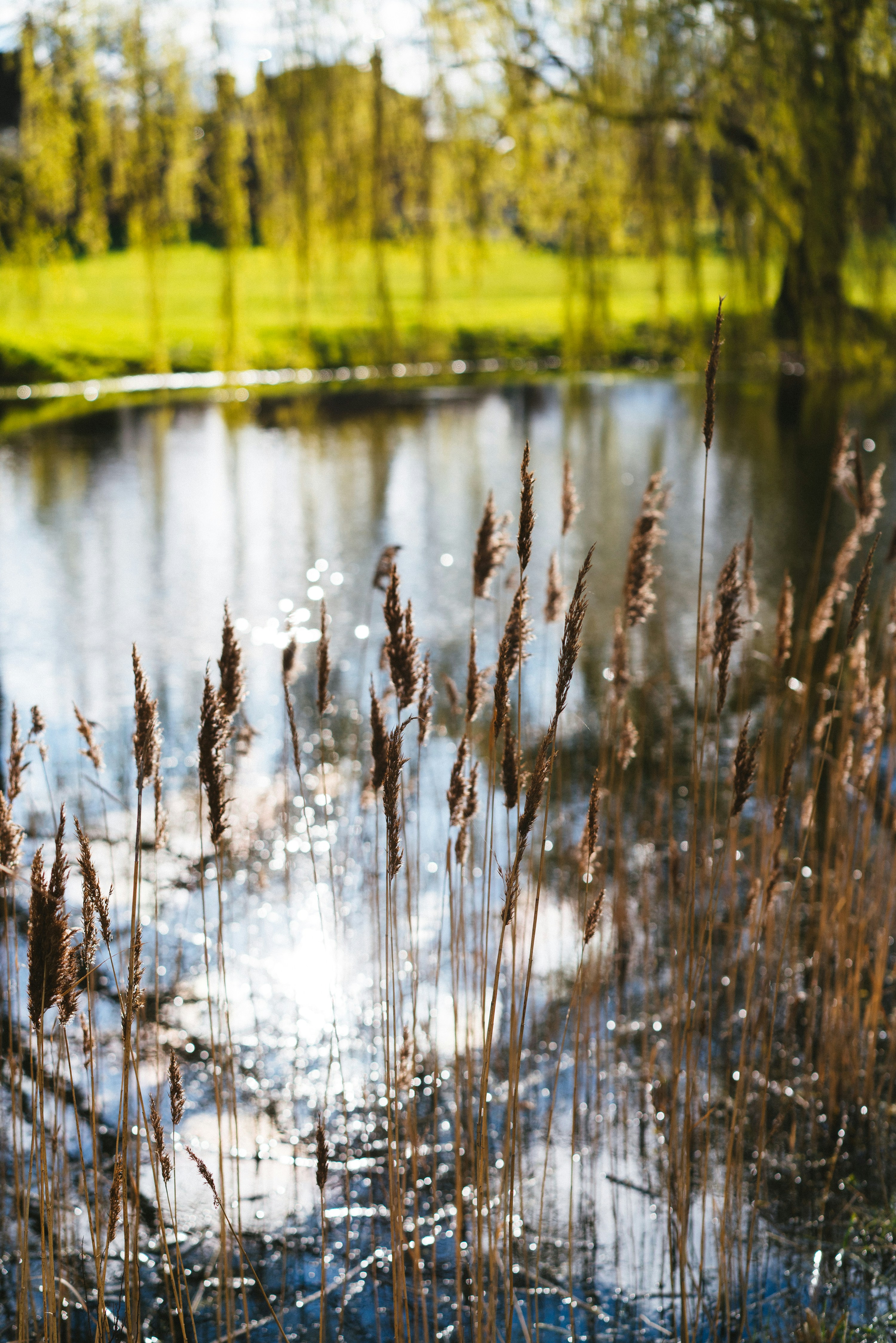 Photo by philhearing