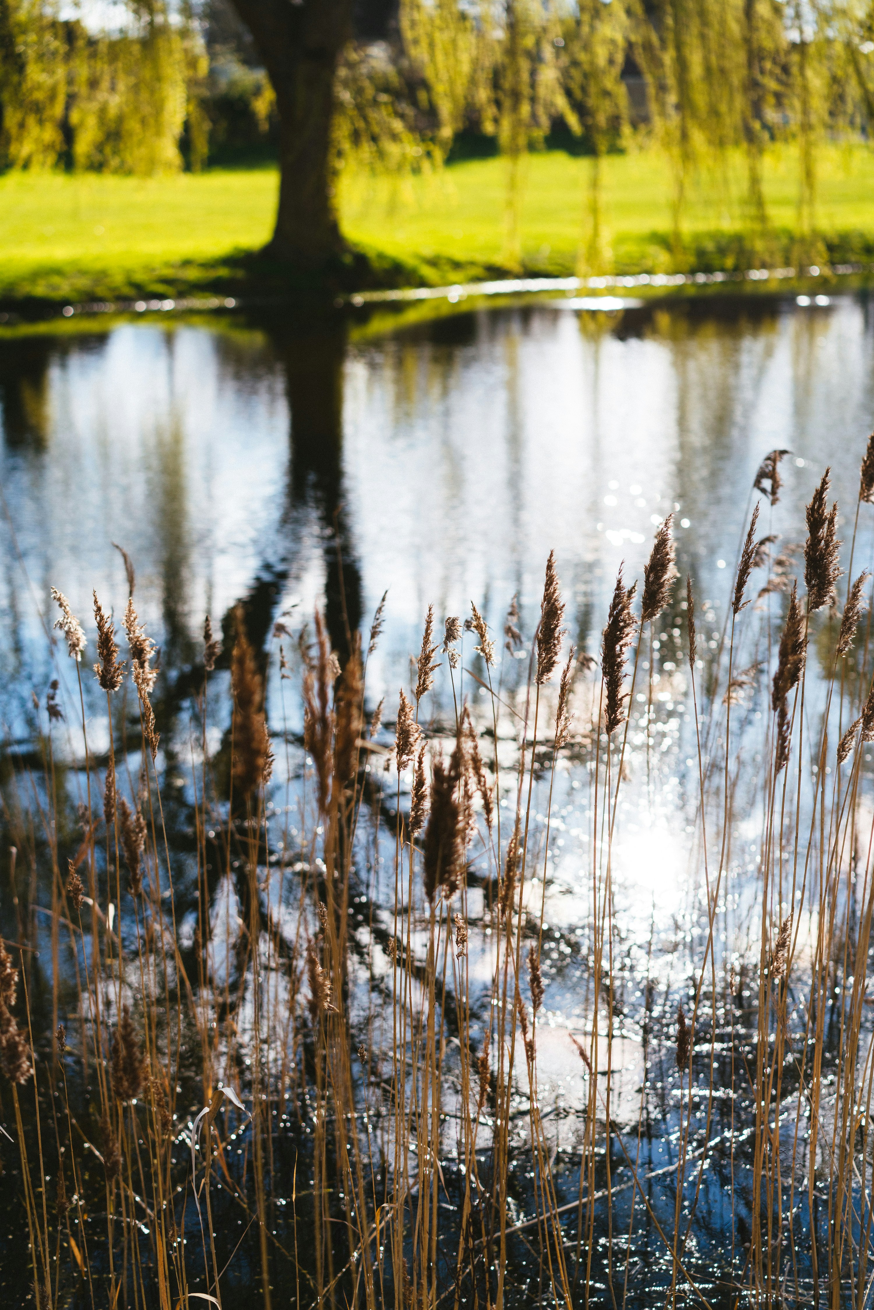 Photo by philhearing