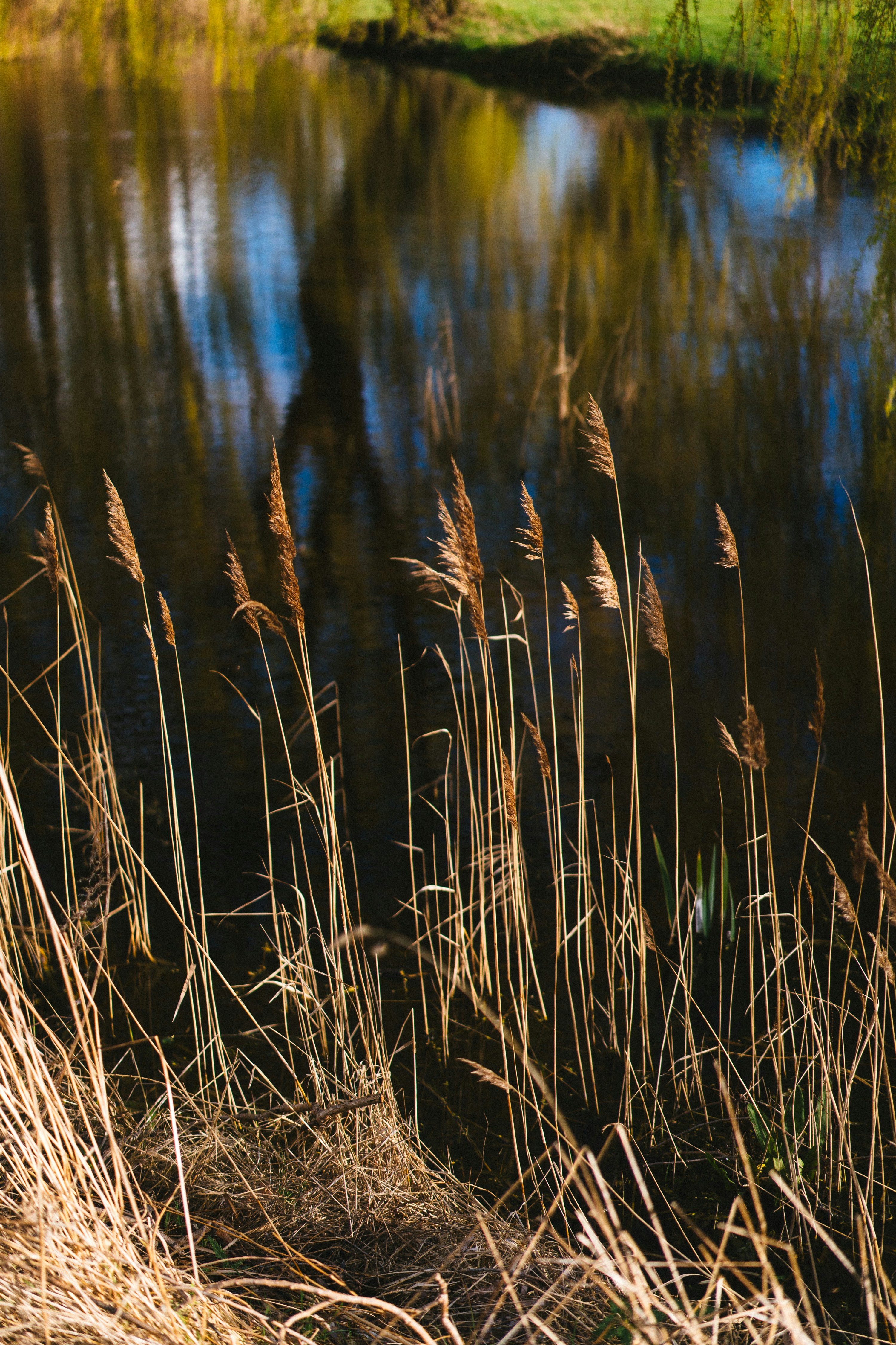 Photo by philhearing