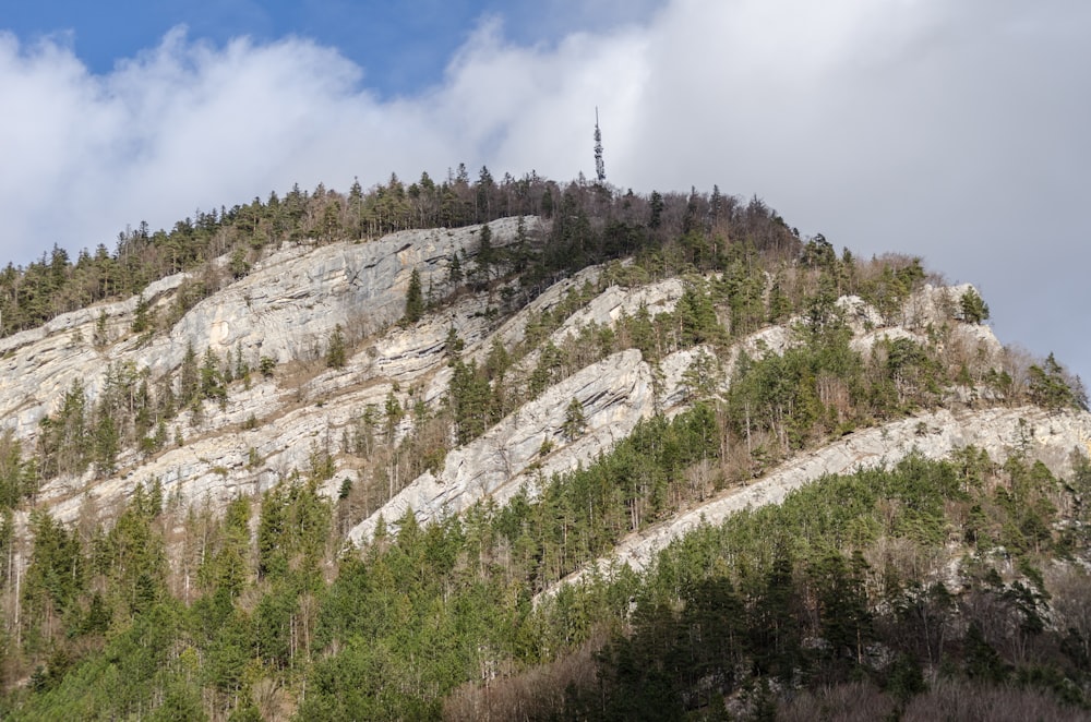 une très haute montagne surmontée de quelques arbres