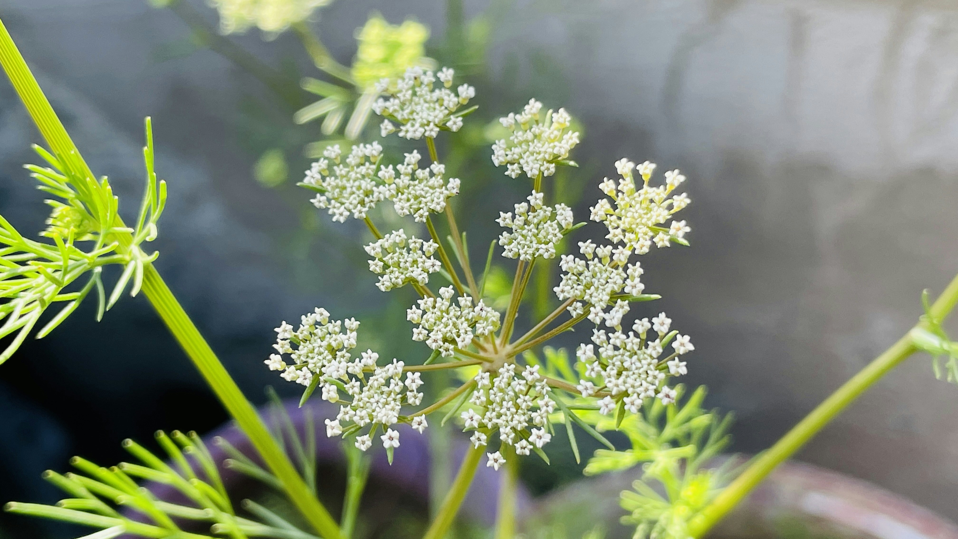 Photo by imjunaidanwar