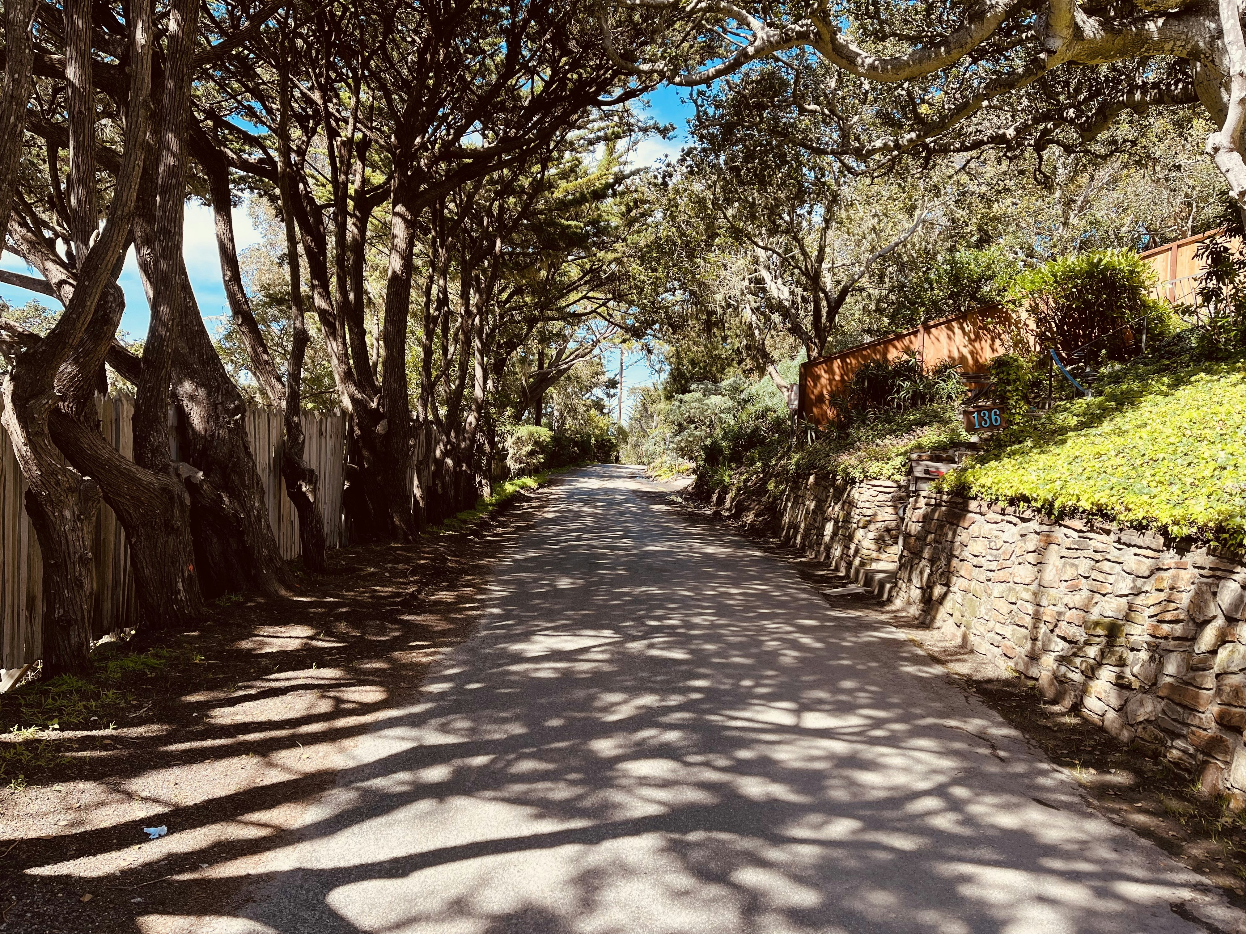 Shaded street beside a stone wall under large trees