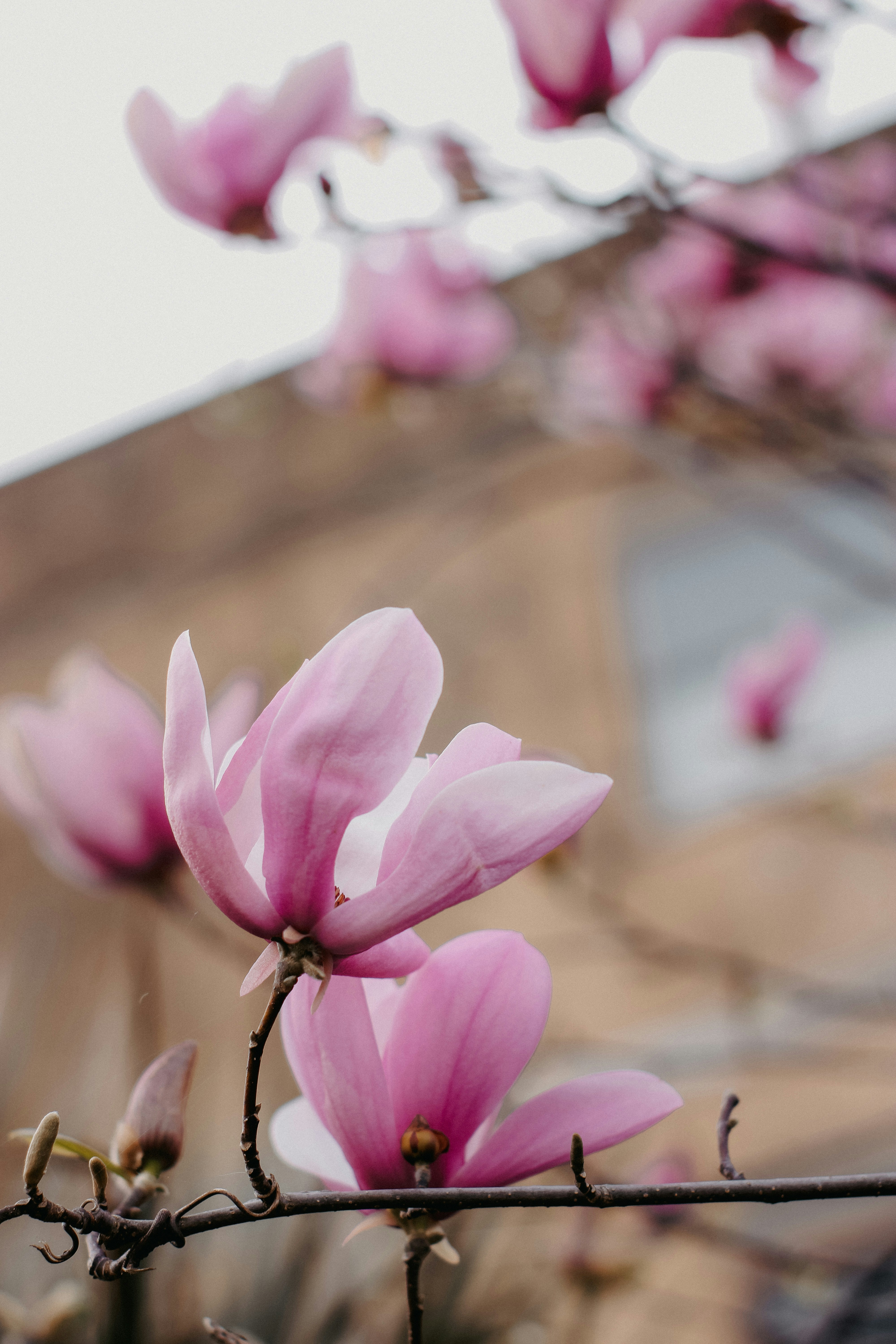 Photo by natinati