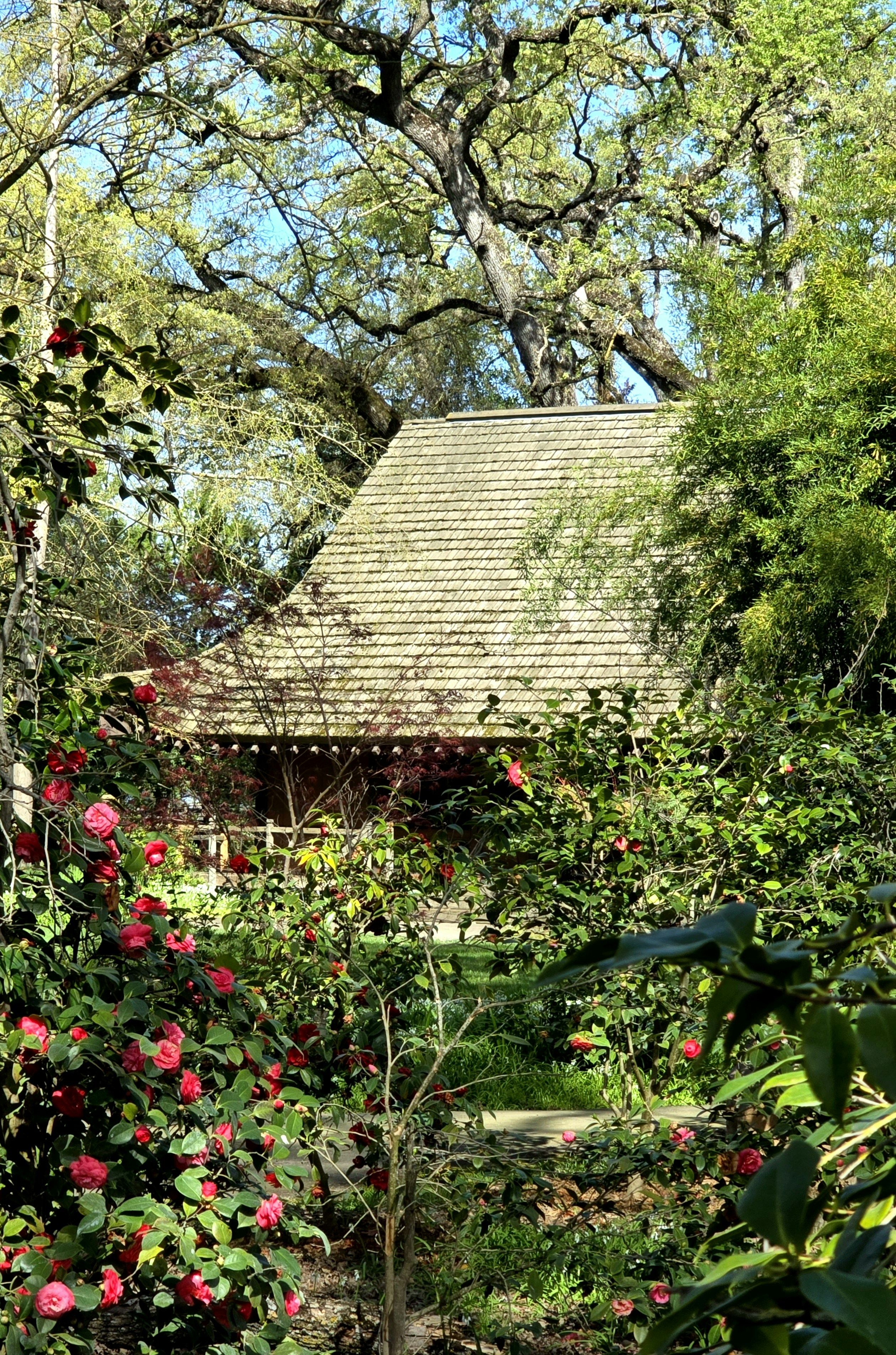 Photo by mandyblue22