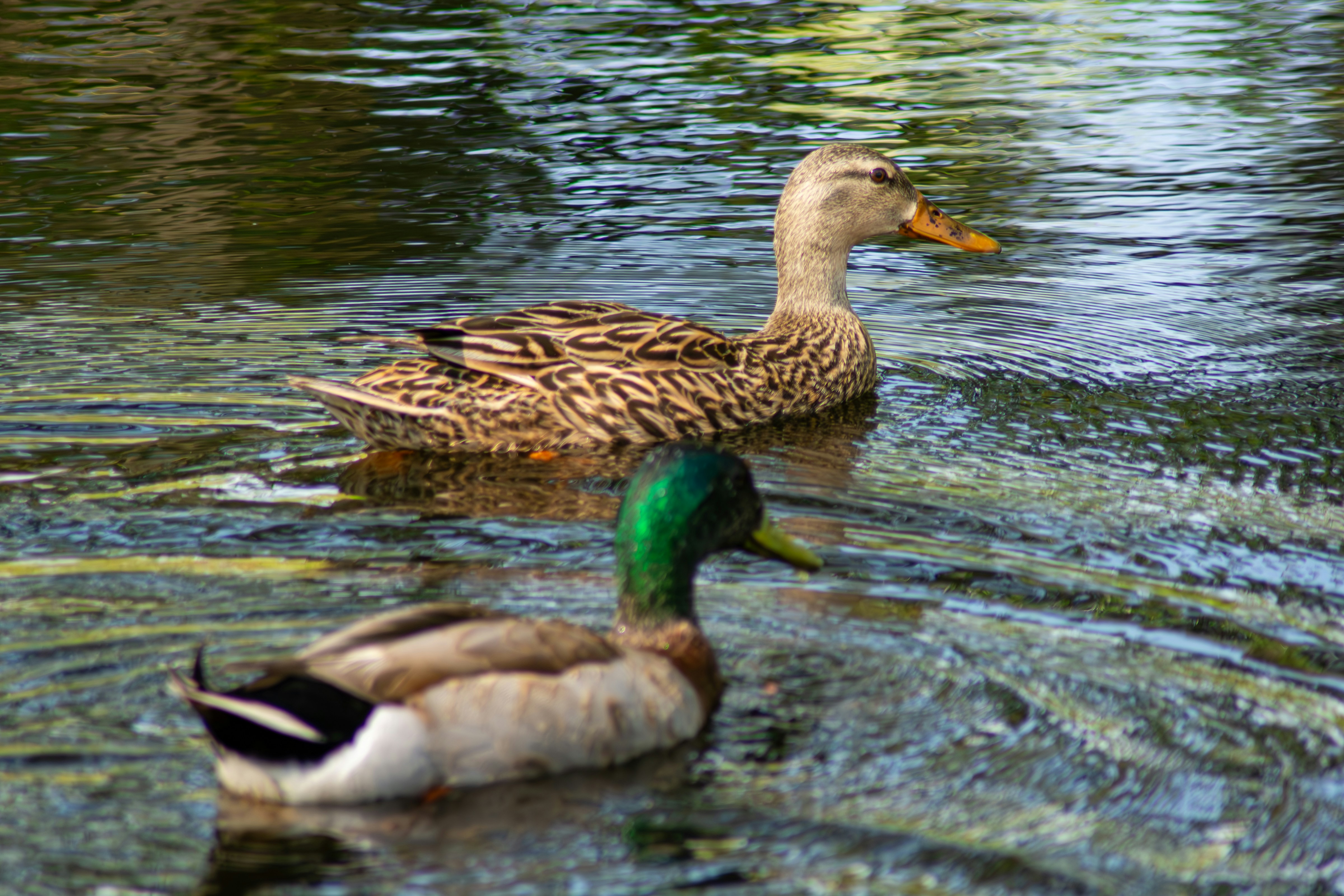 Photo by astro_civil