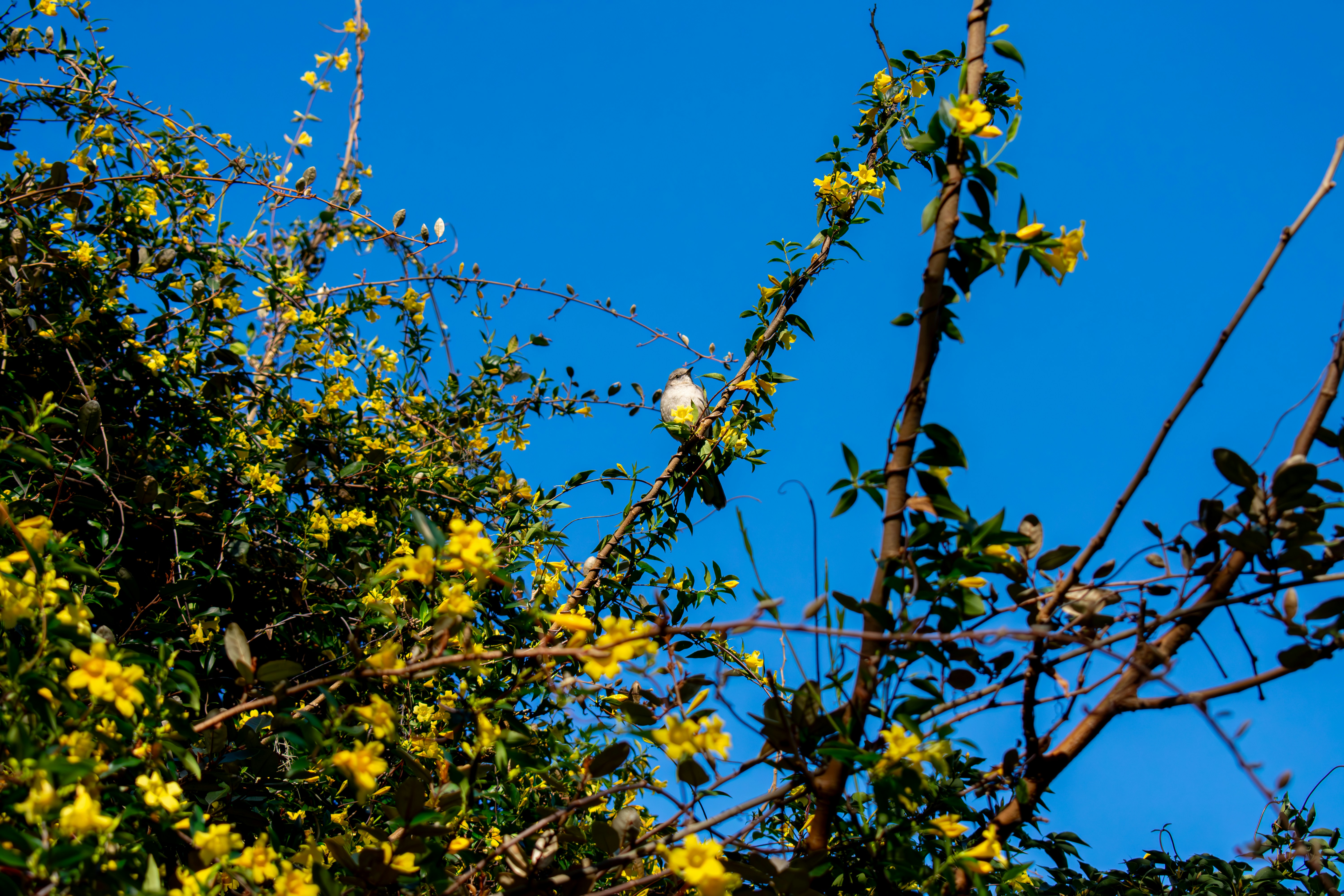 Photo by astro_civil