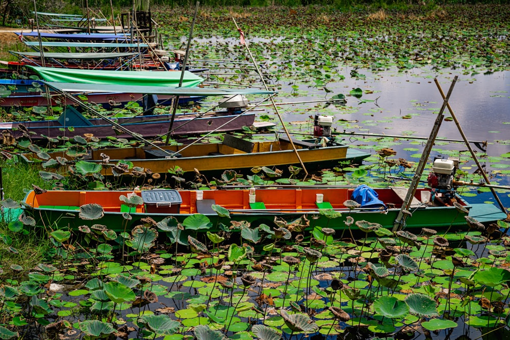a number of small boats in a body of water