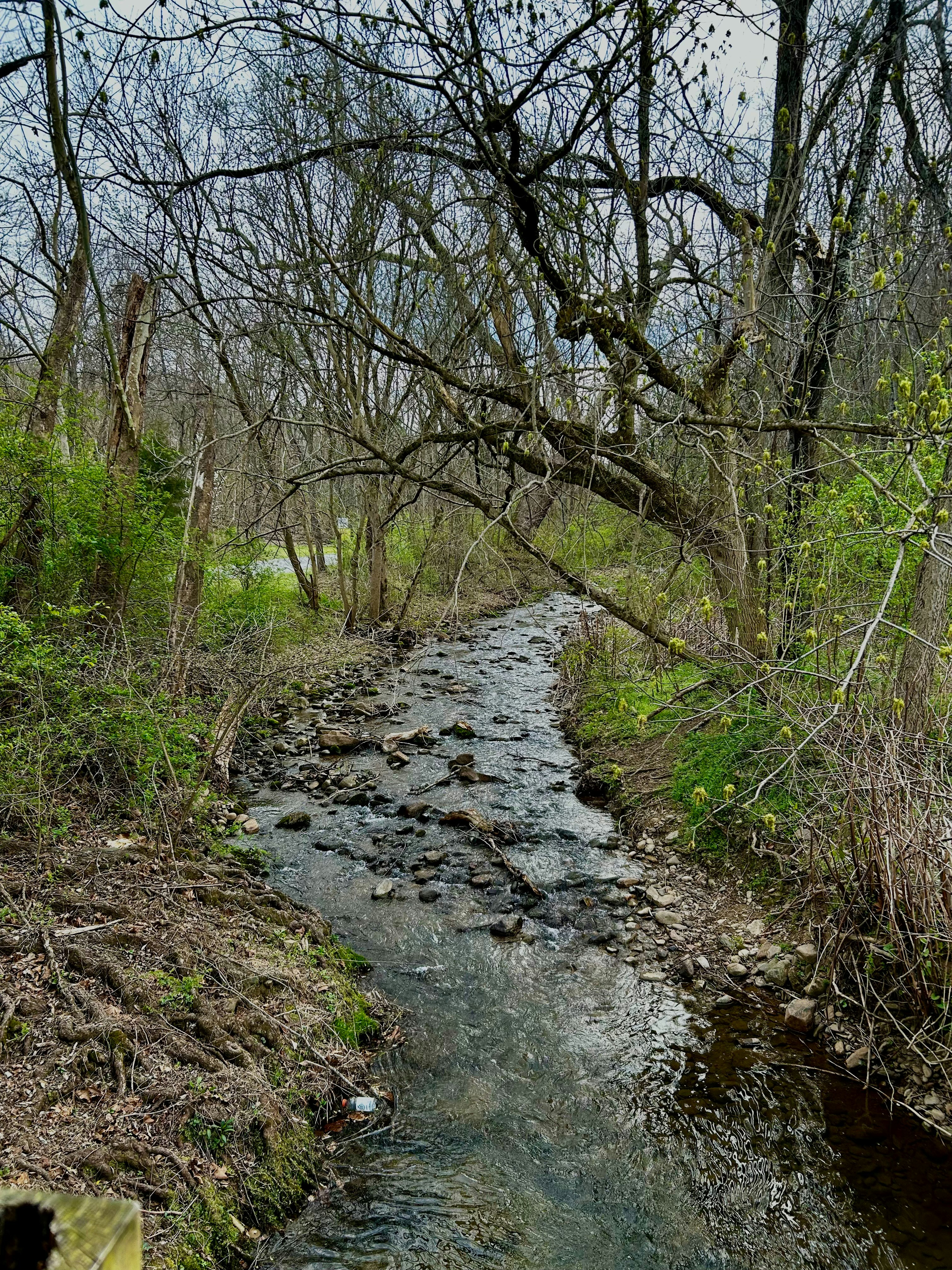 Photo by adialinkous