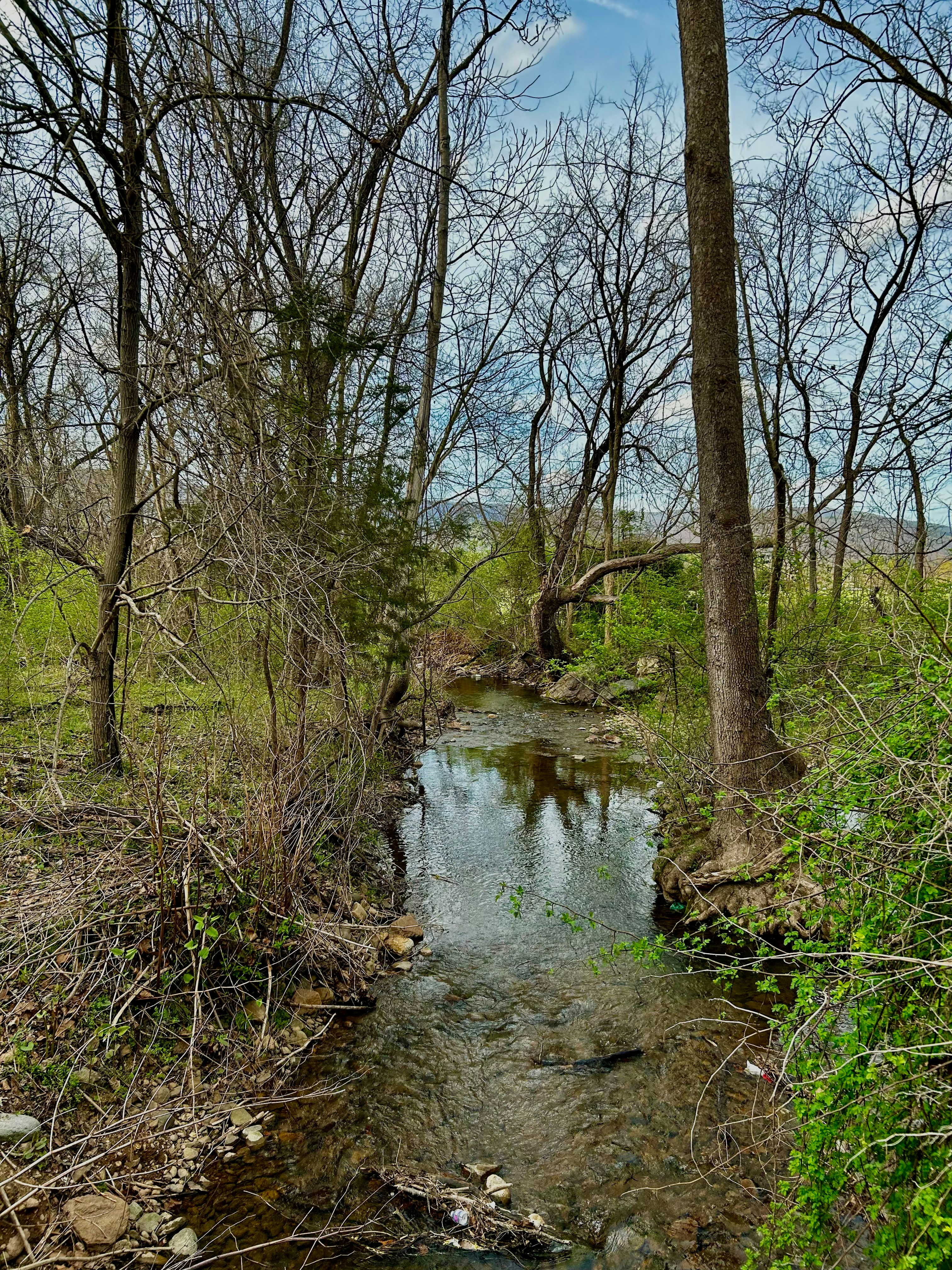 Photo by adialinkous