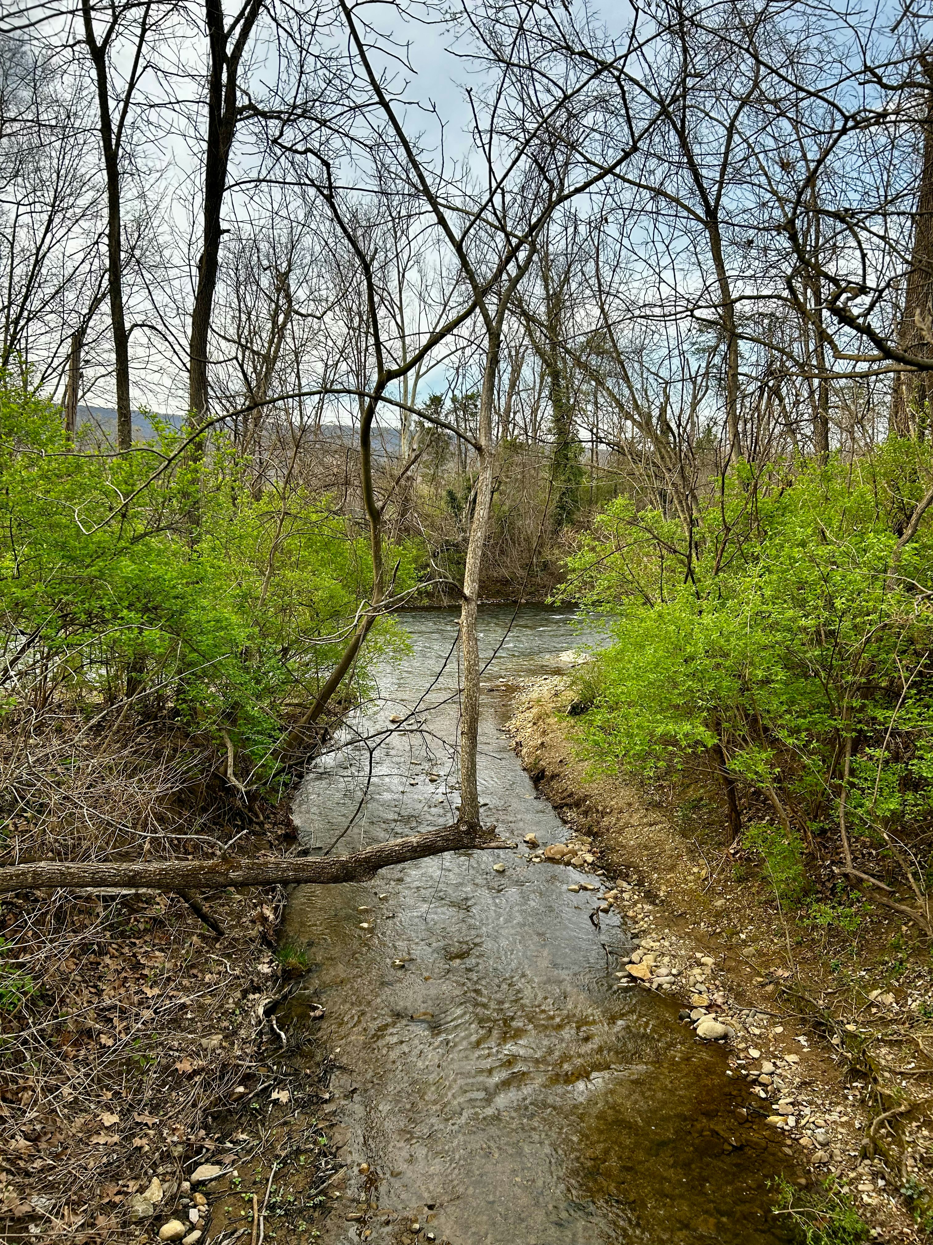 Photo by adialinkous