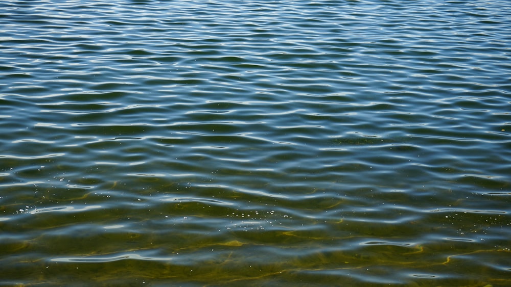 a boat floating on top of a body of water