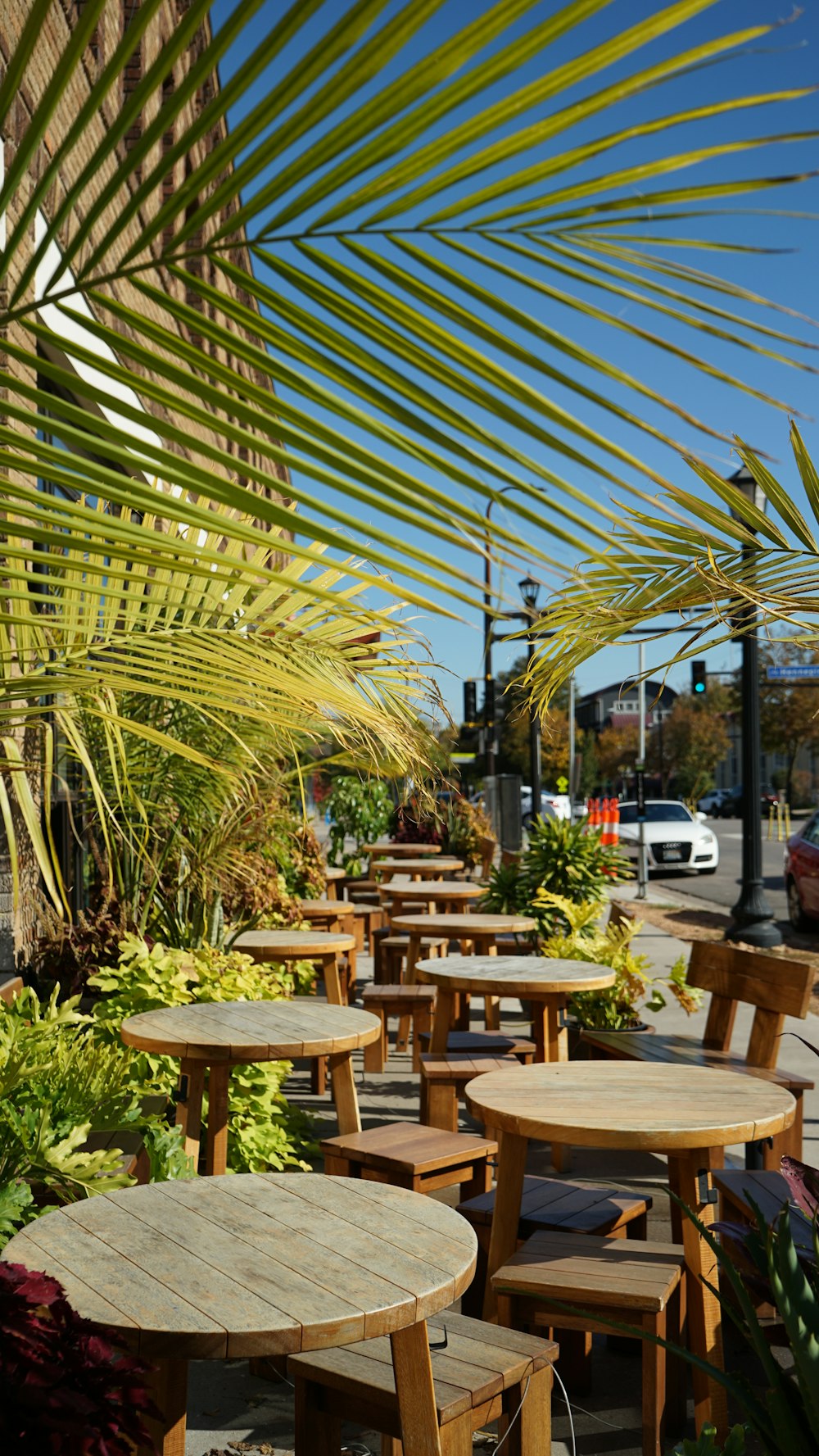 a row of wooden tables sitting under a palm tree