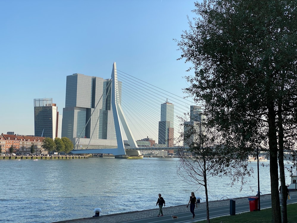 people walking on a path next to a body of water