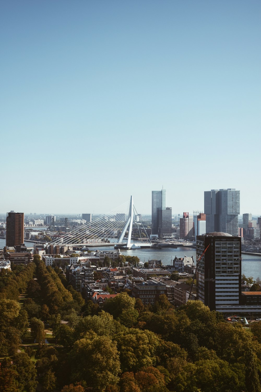 a view of a city with a bridge in the background