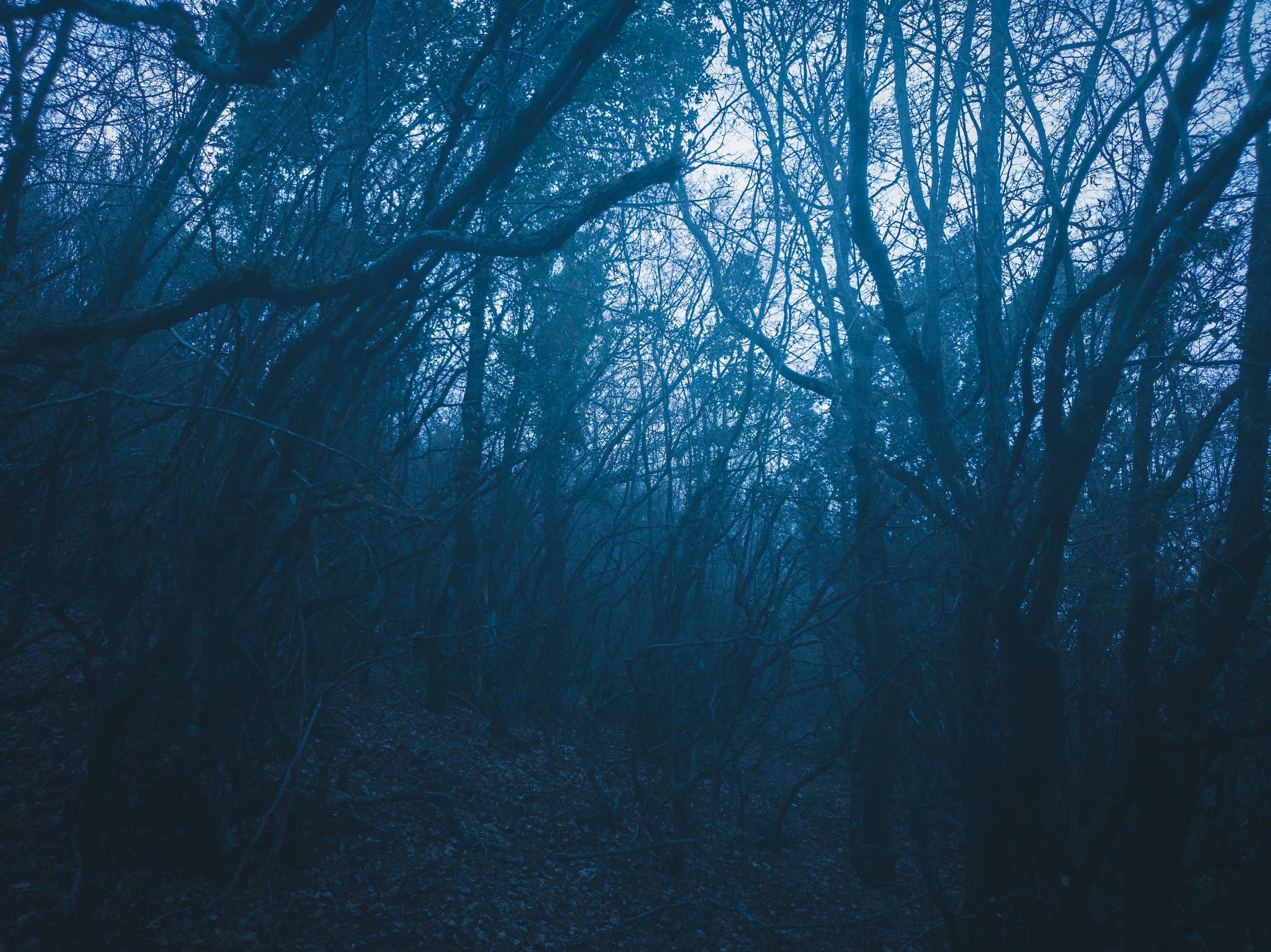 Photo by liminal_angel