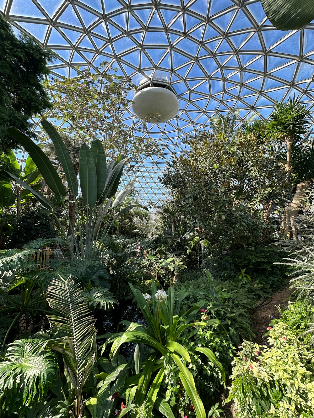 the inside of a greenhouse with lots of plants