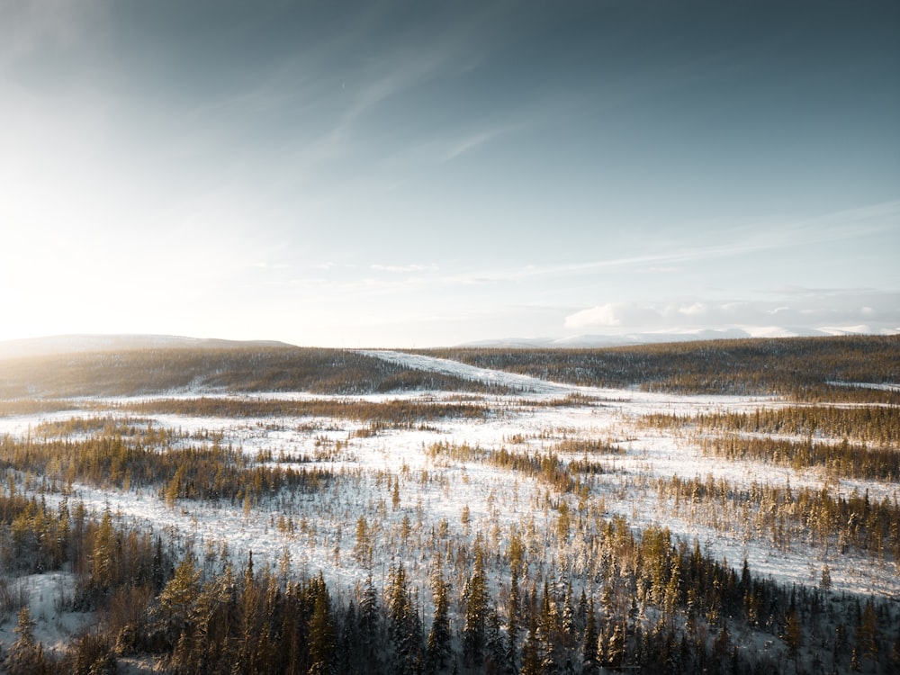 an aerial view of a snow covered forest