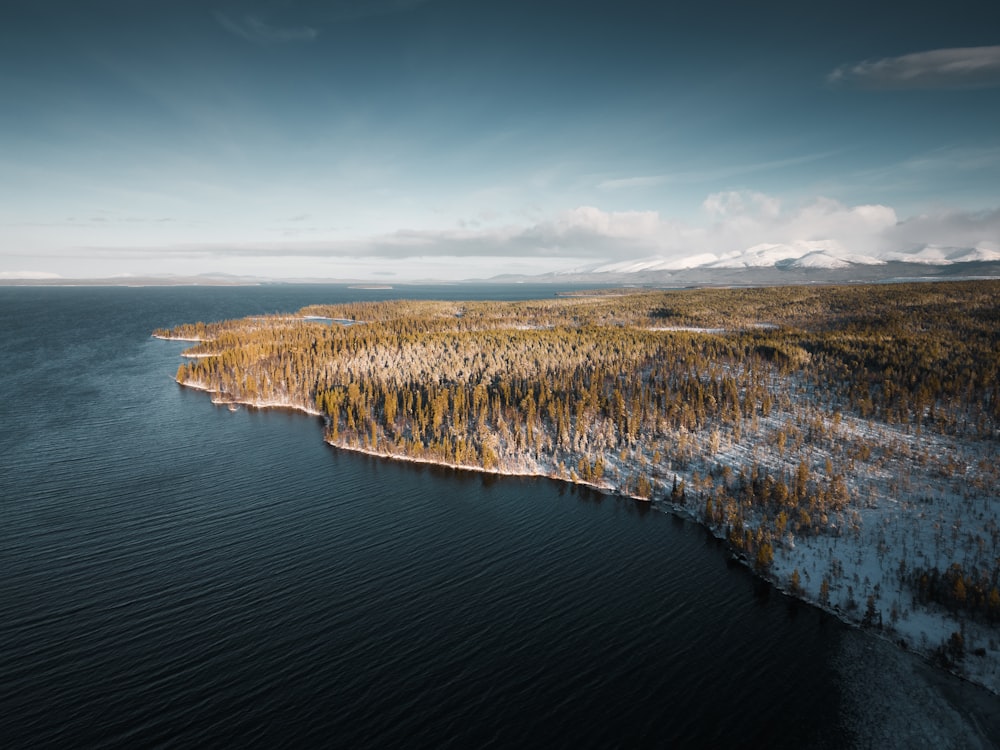 a large body of water surrounded by trees