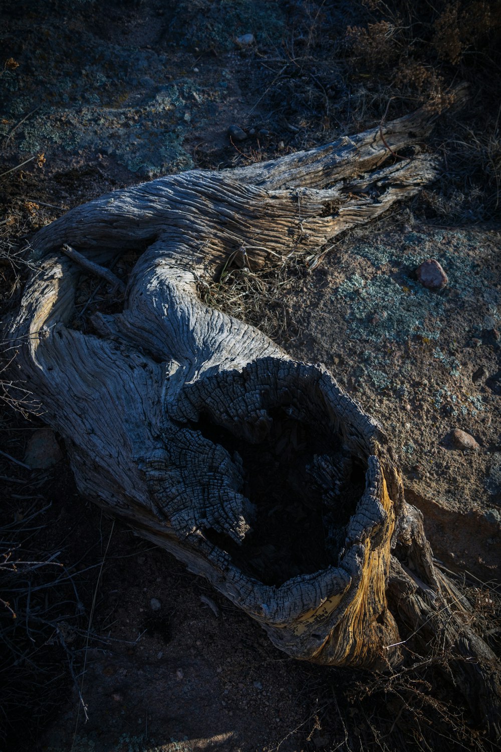 a piece of wood sitting on top of a dirt field