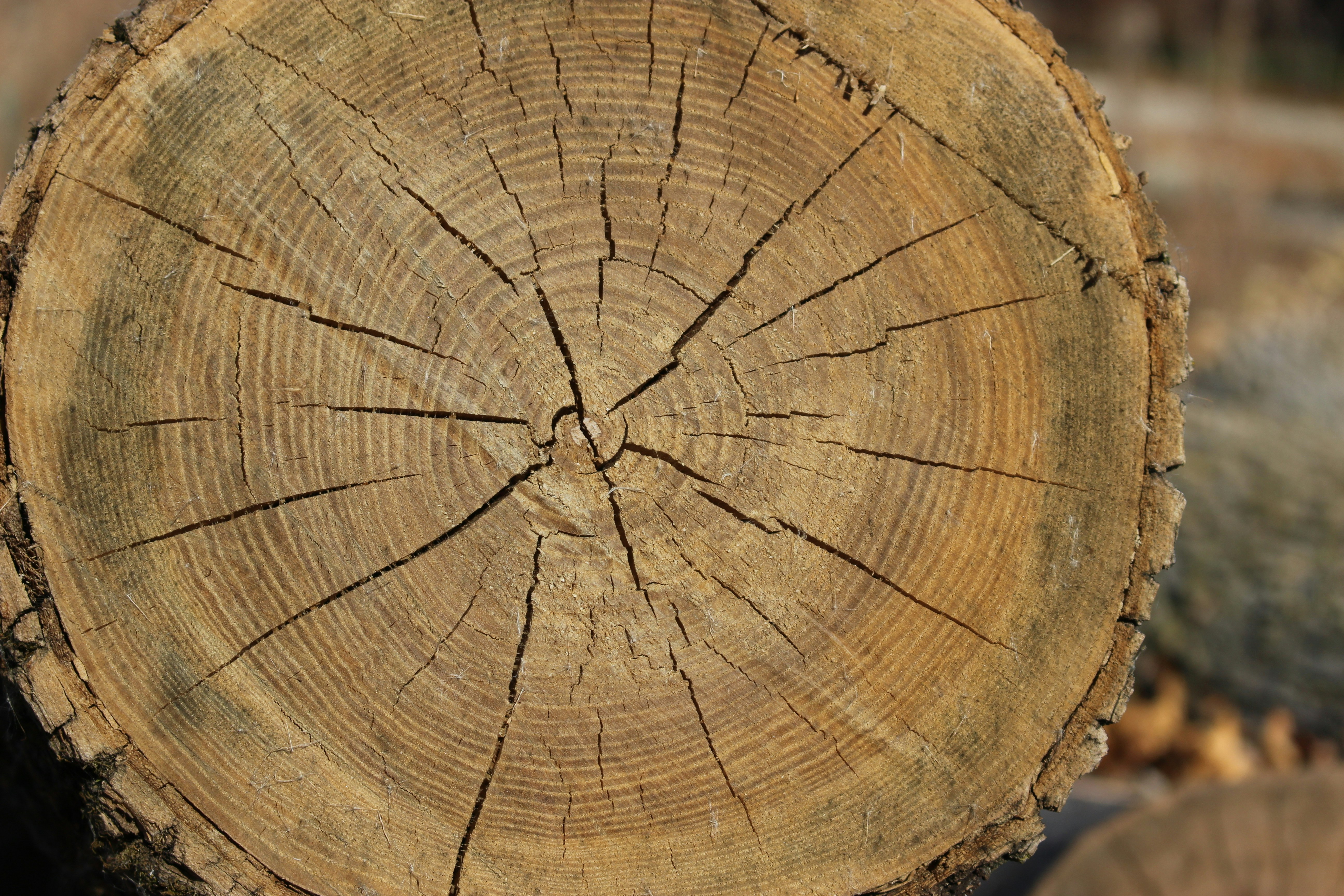 Photo by teagancross