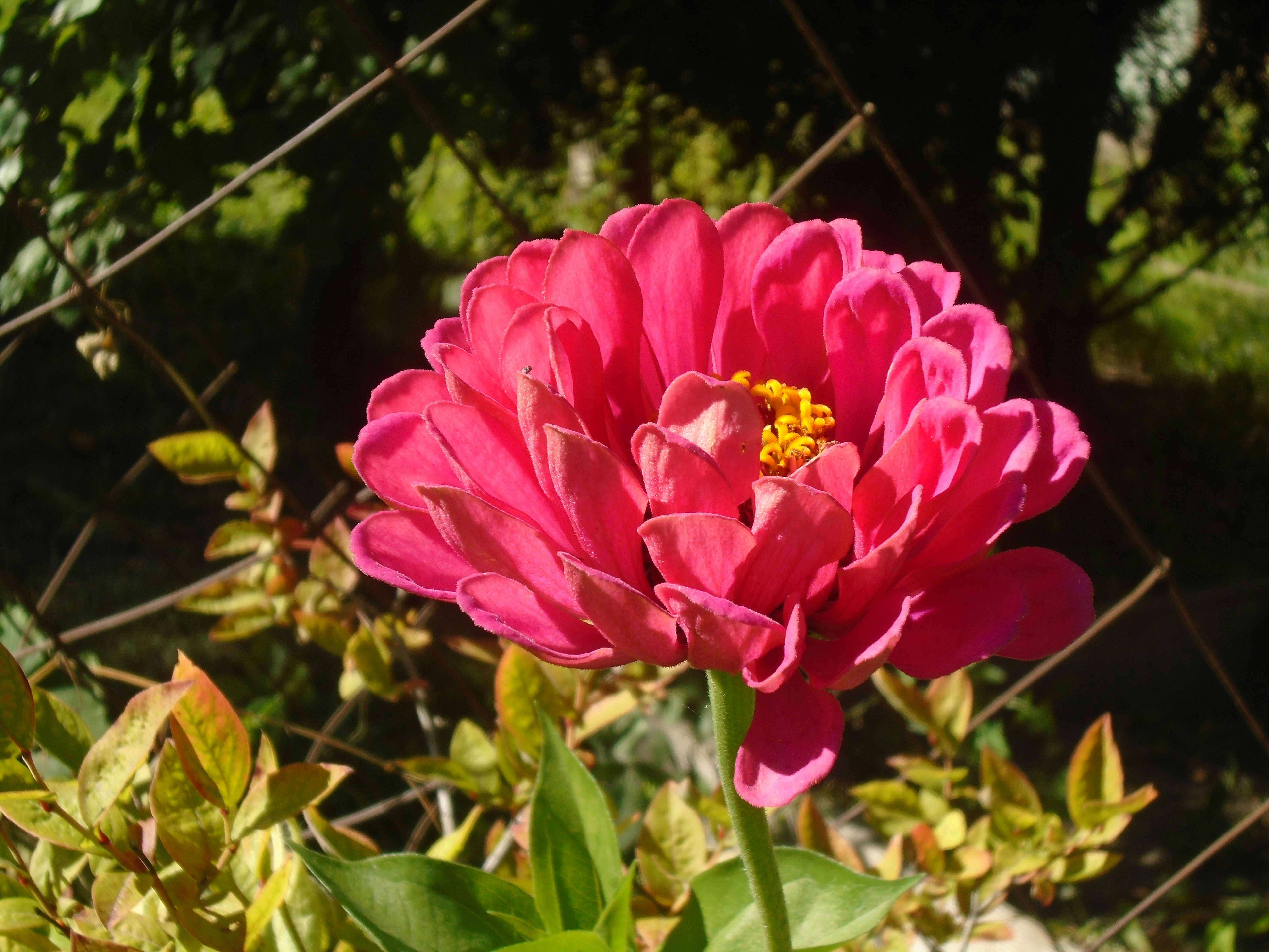 Photo by teagancross