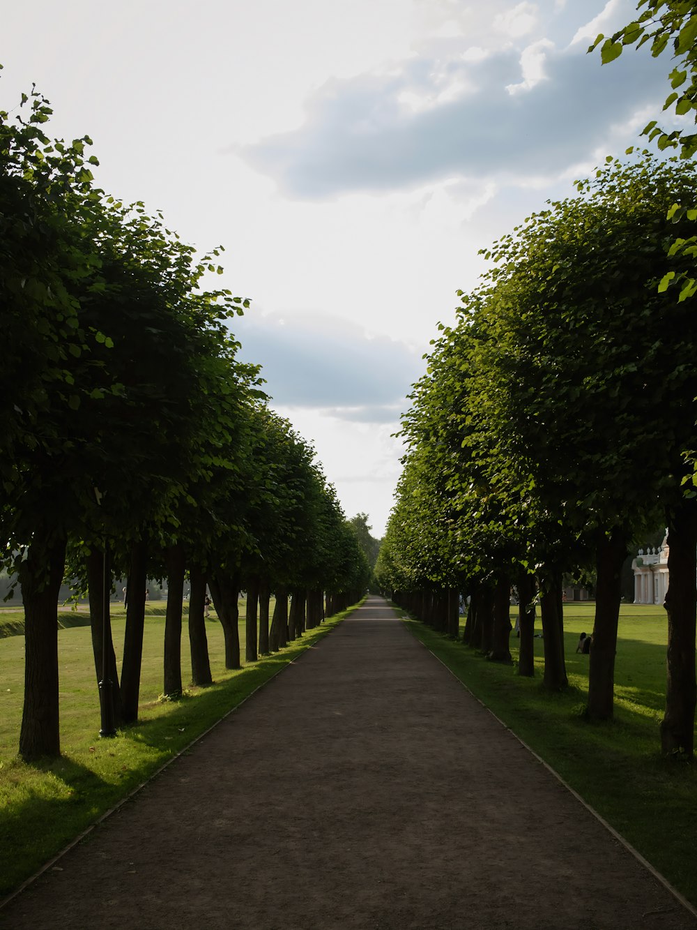 a pathway lined with trees on both sides of it