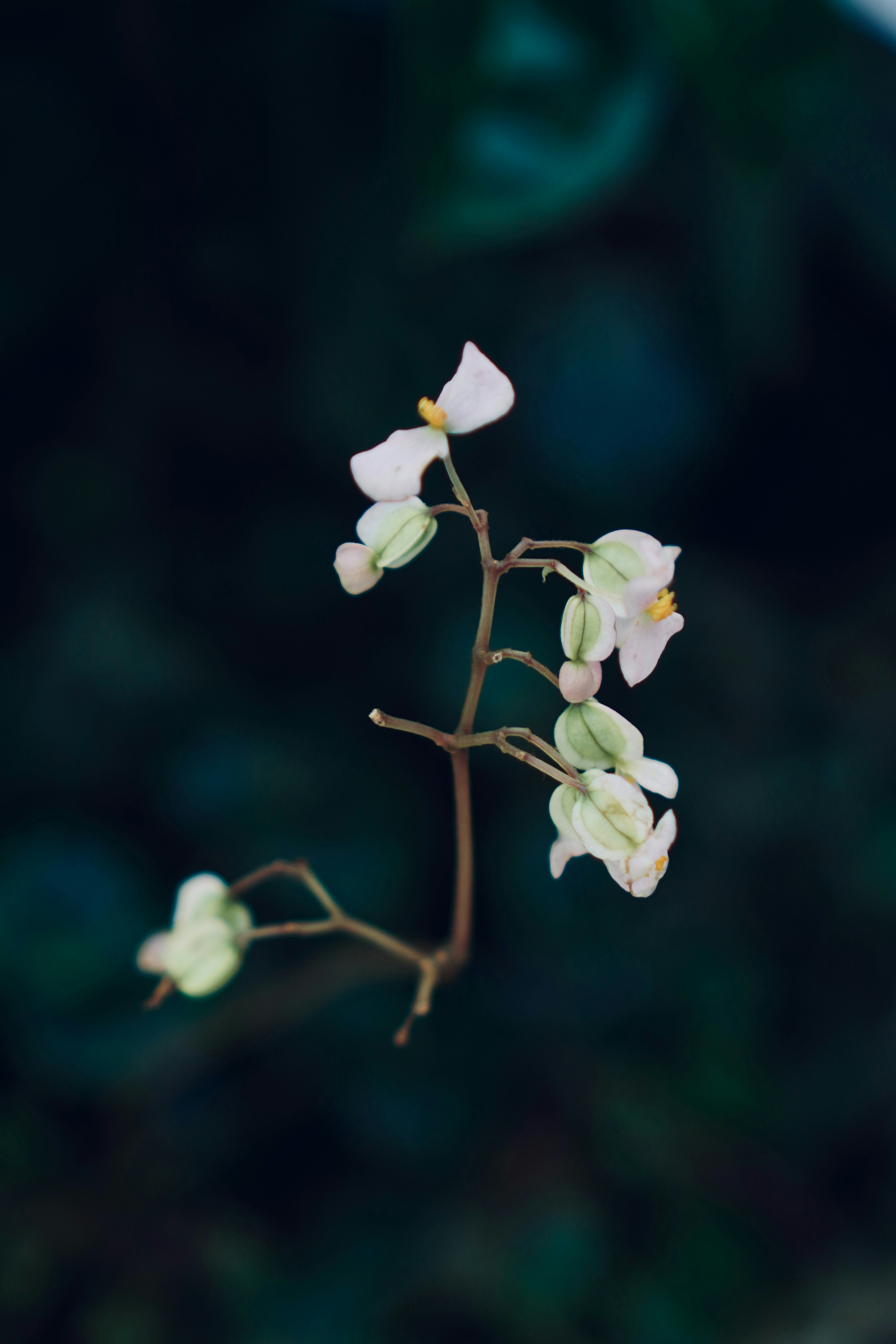 Photo by meinayin