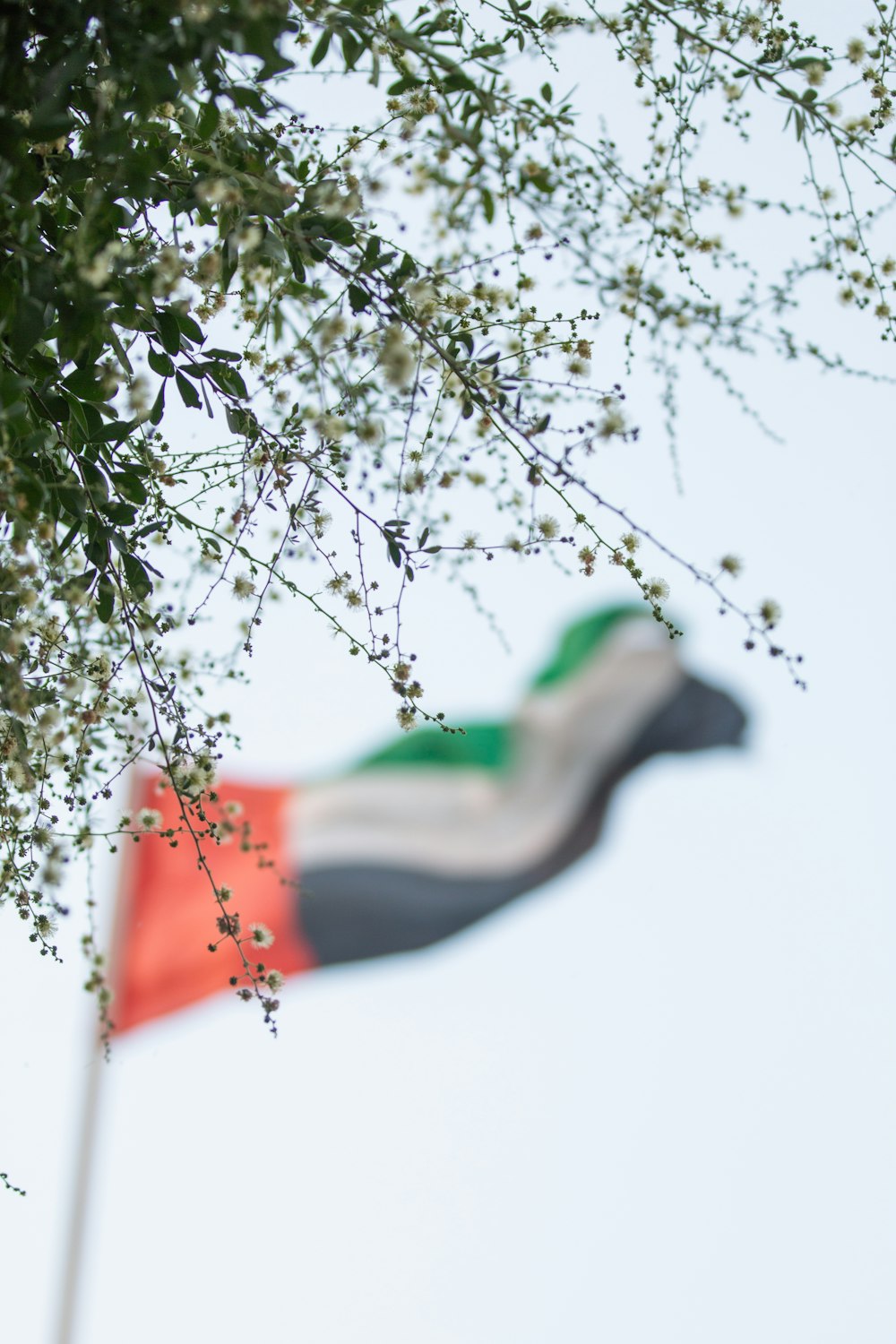 a flag flying in the wind next to a tree